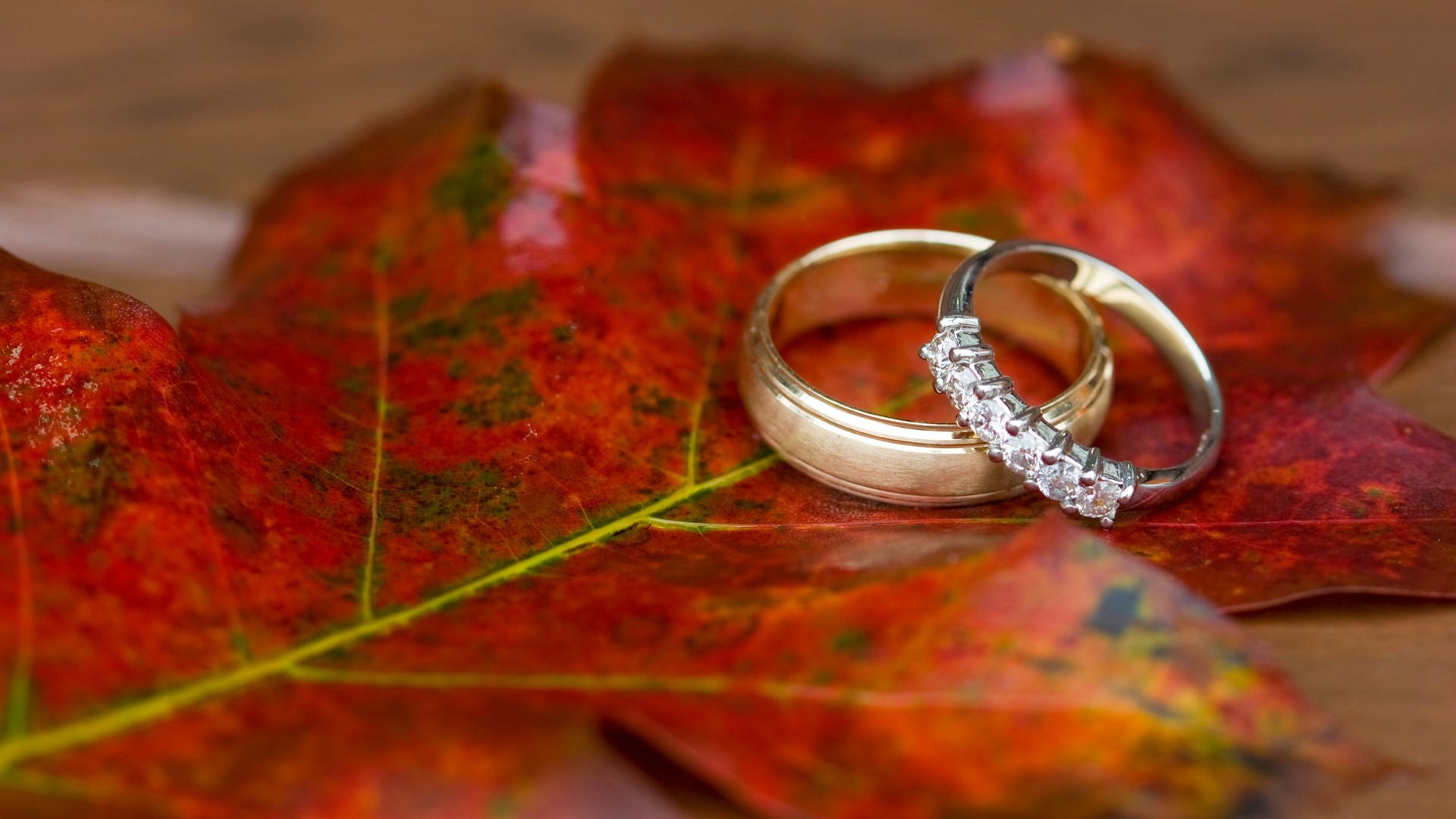 爱情美图,唯美温馨,浪漫,戒指