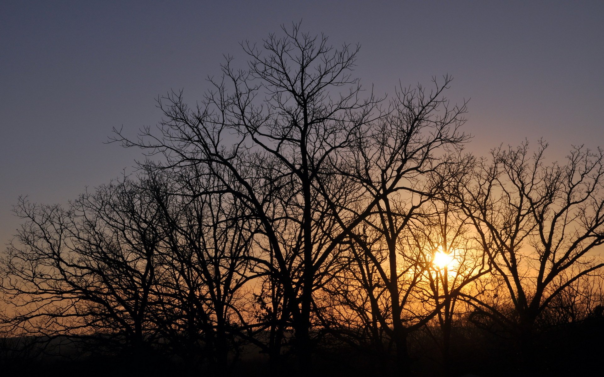 开阔,风景,阳光,风光,落日,日落,红日,余晖,落日余晖,儿童桌面专用