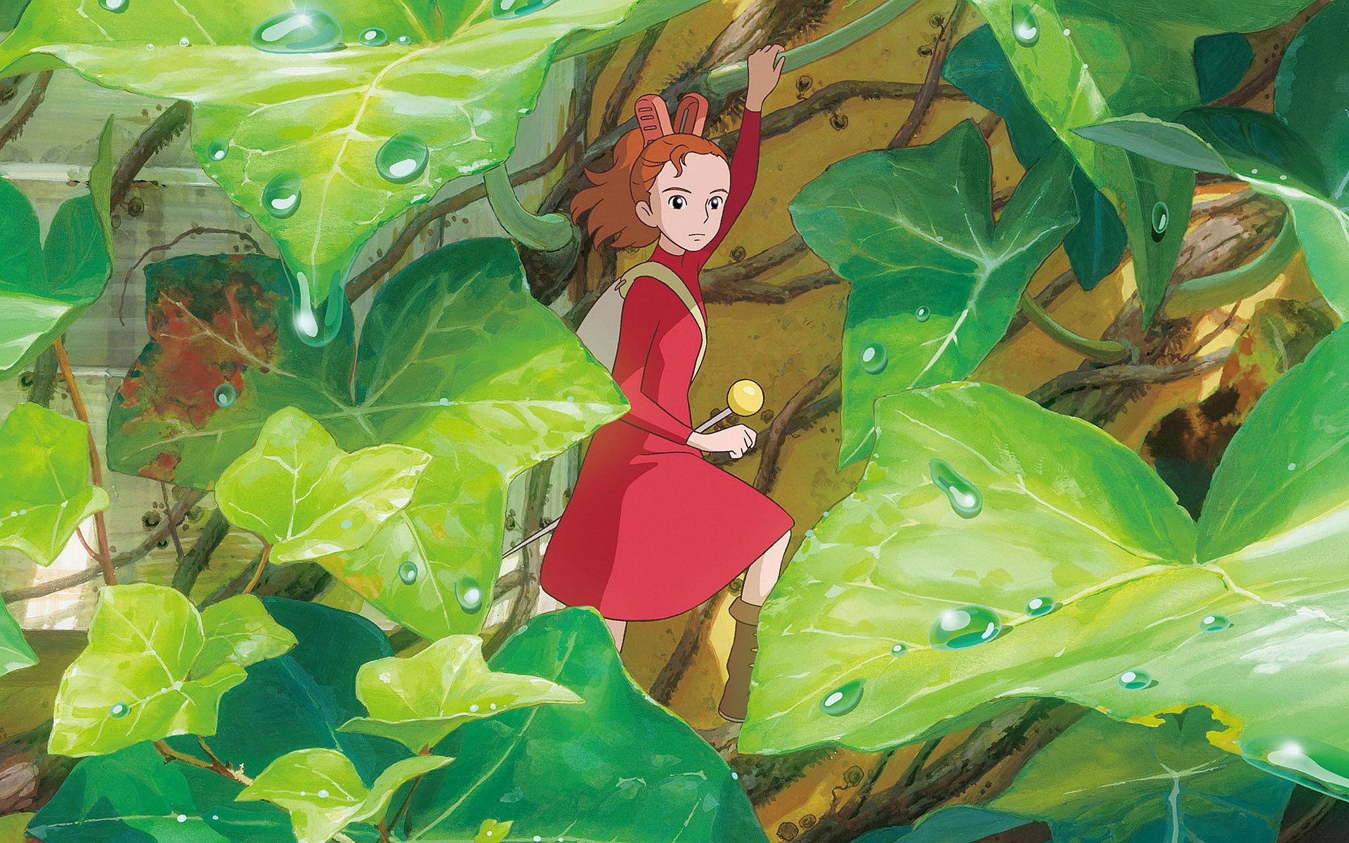 影视,动画电影,借东西的小人阿莉埃蒂,1月18日