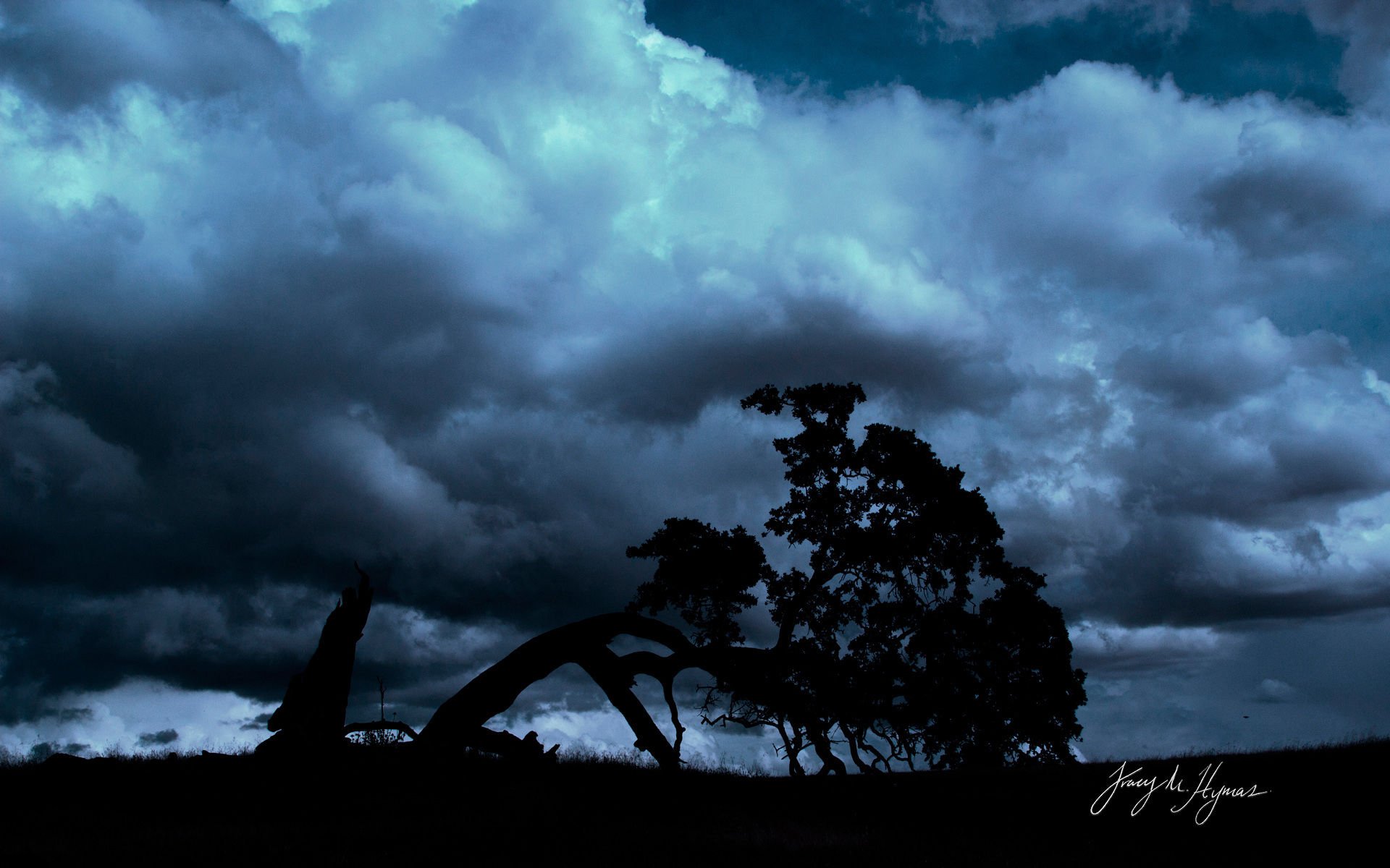 风景,落日余晖,儿童桌面专用