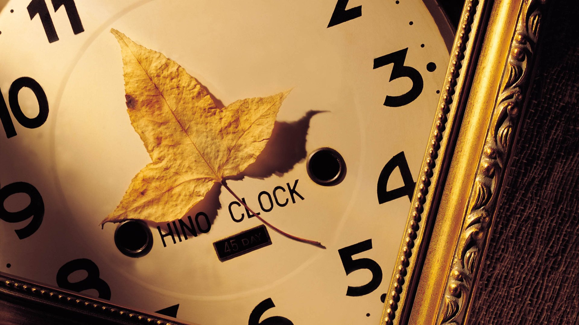 小清新,静物写真,钟表,1月23日,儿童桌面专用