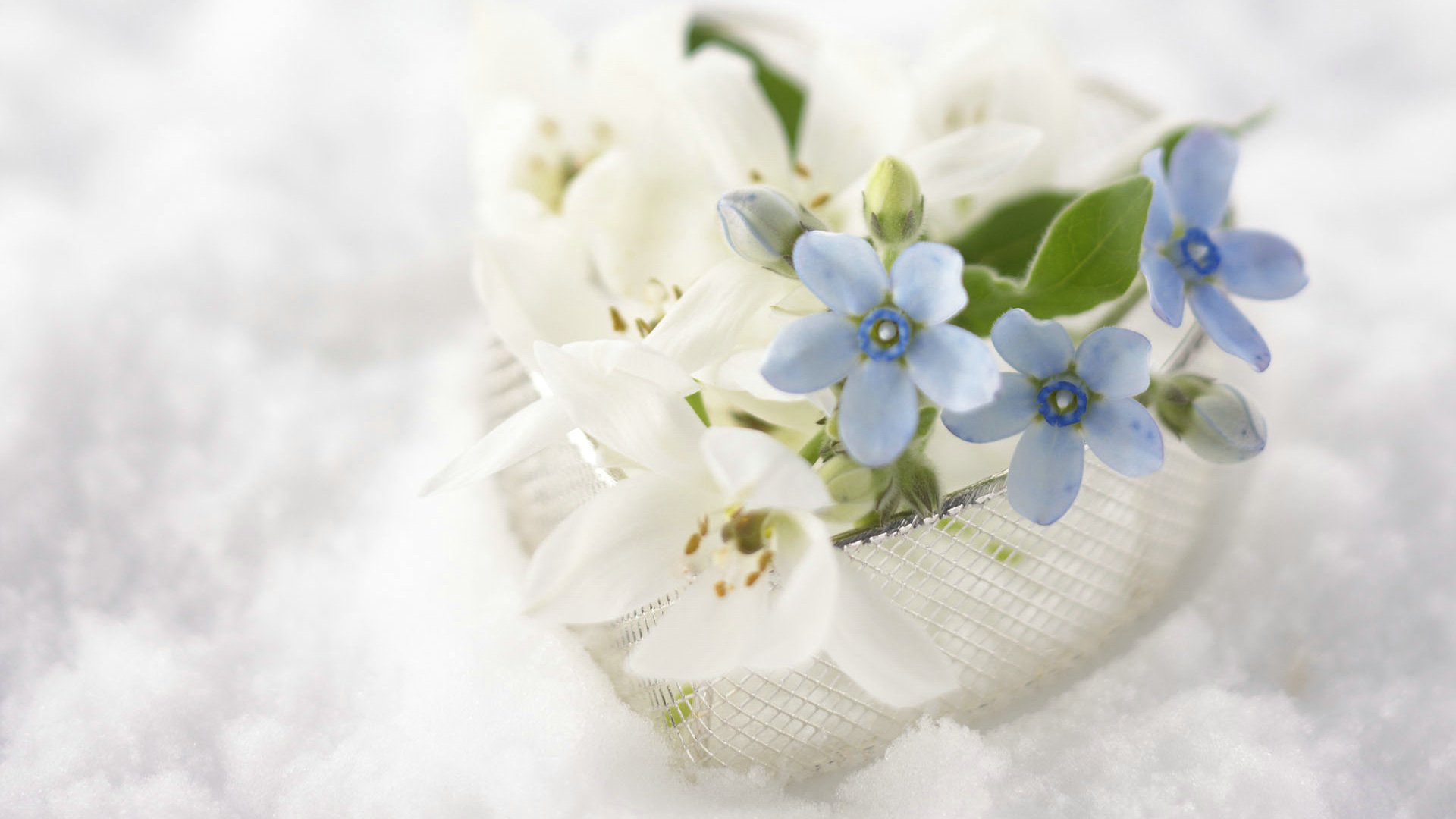 爱情美图,唯美温馨,爱心,礼物,七夕,情人节