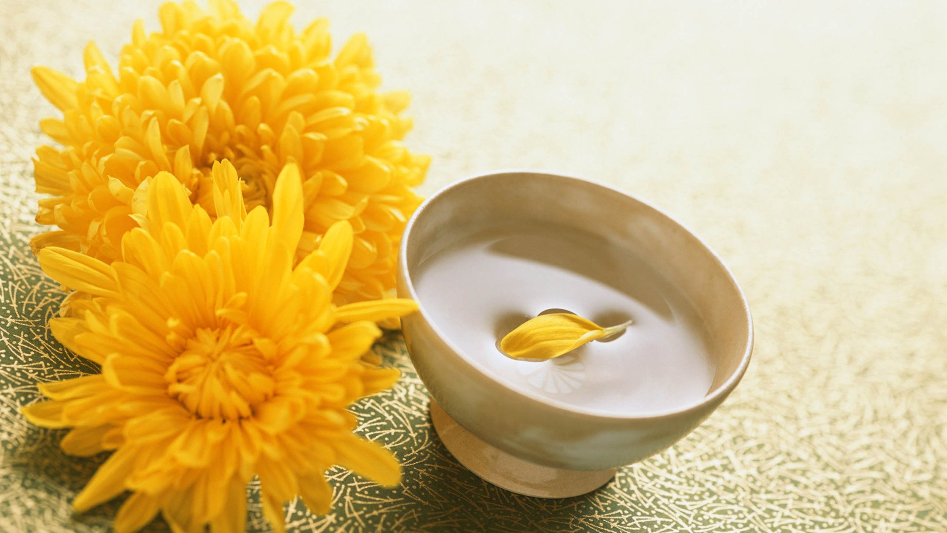 小清新,静物写真,杯子,1月24日,儿童桌面专用