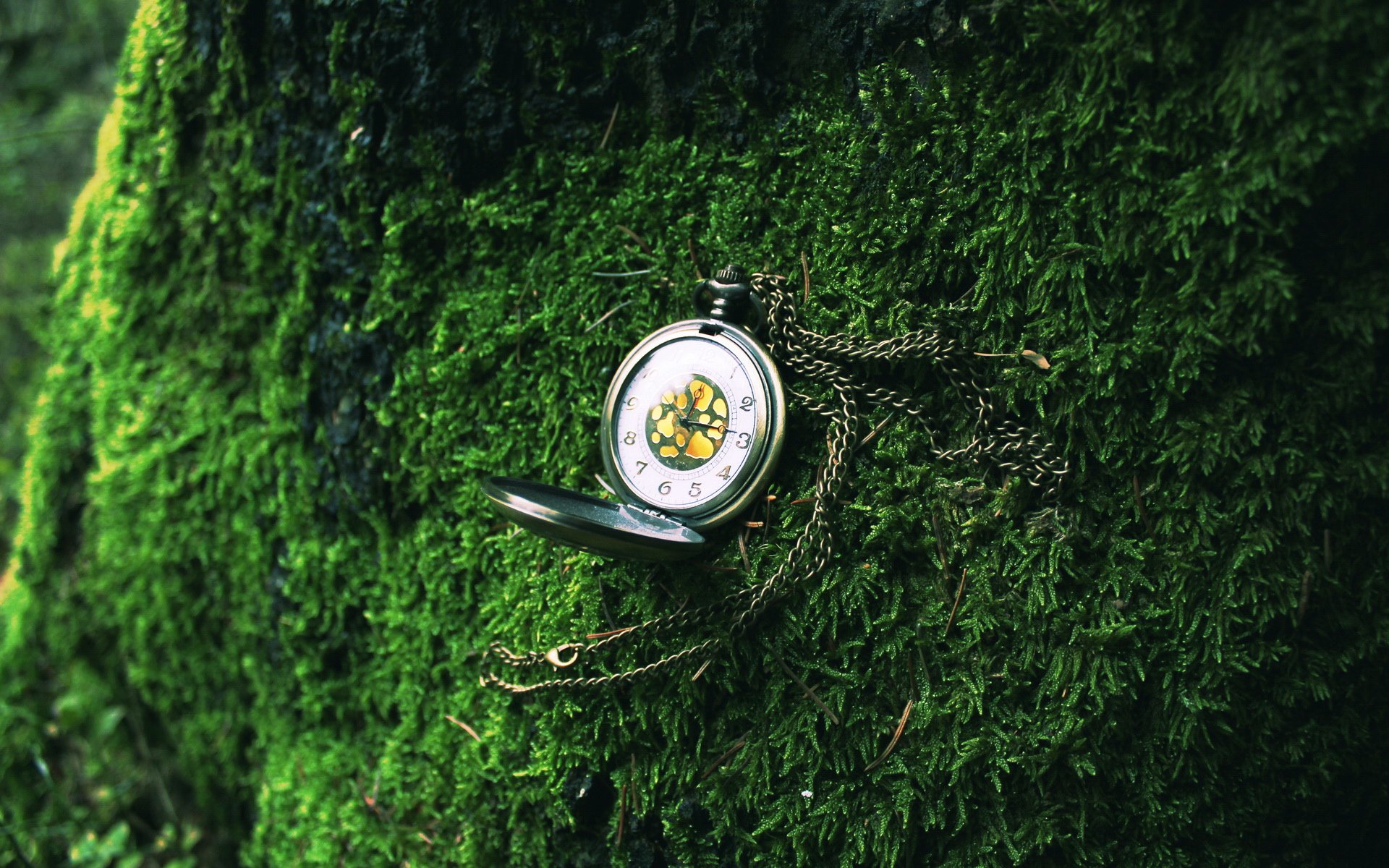 小清新,护眼壁纸,1月16日,儿童桌面专用