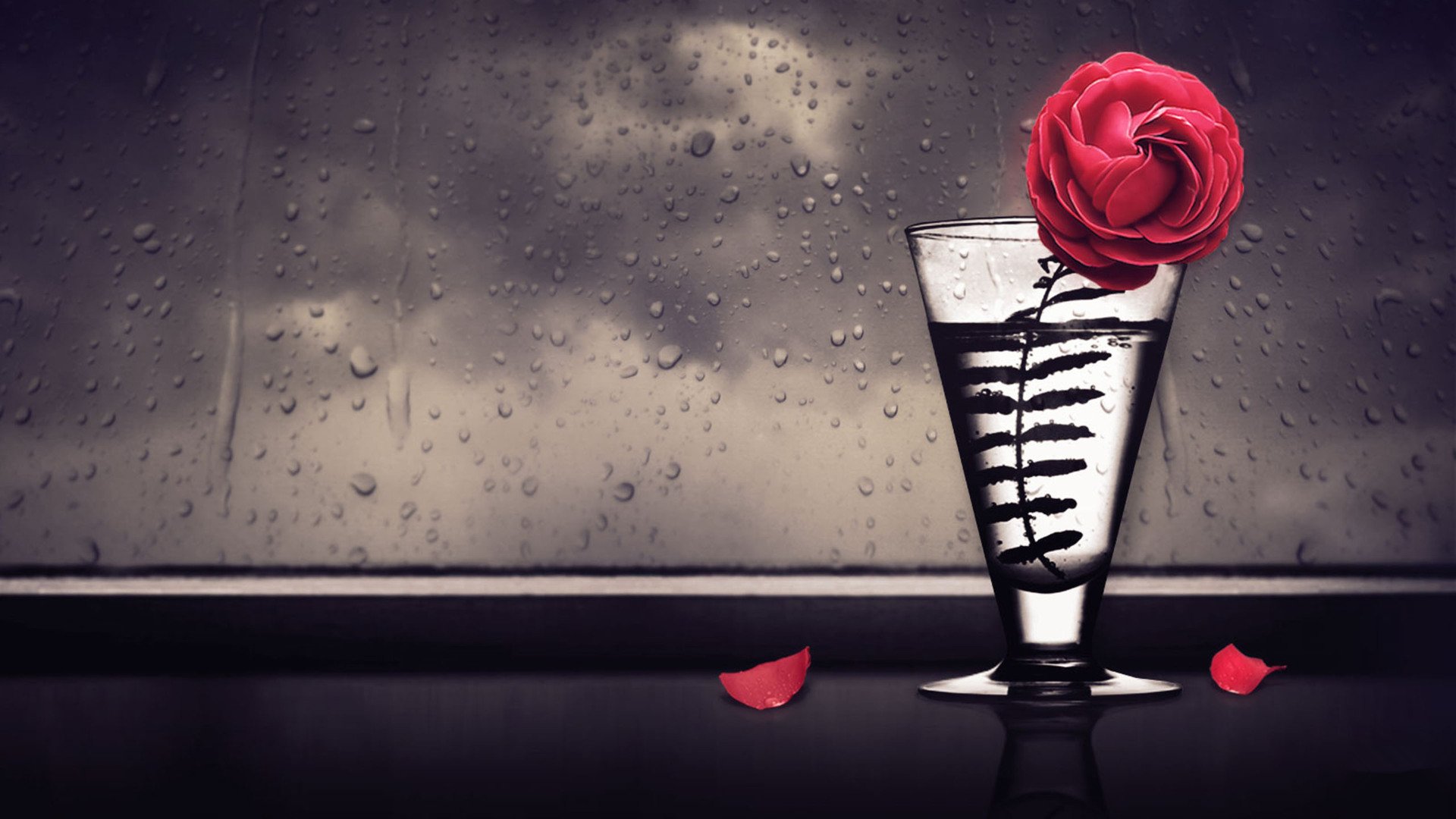 爱情美图,唯美温馨,玫瑰,浪漫