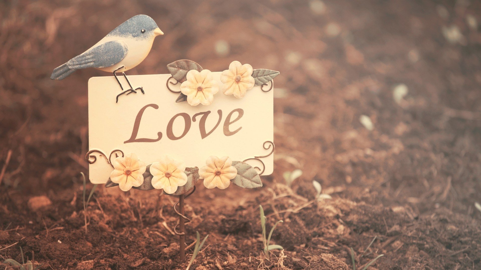 爱情美图,心动创意,鸟,love