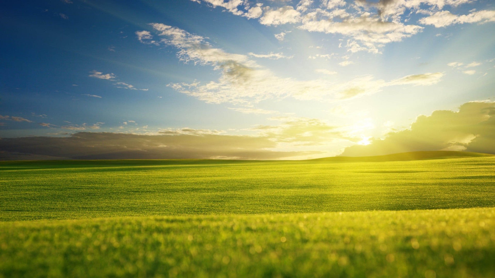 开阔,风景,阳光,大气,风光,碧绿草原,儿童桌面专用
