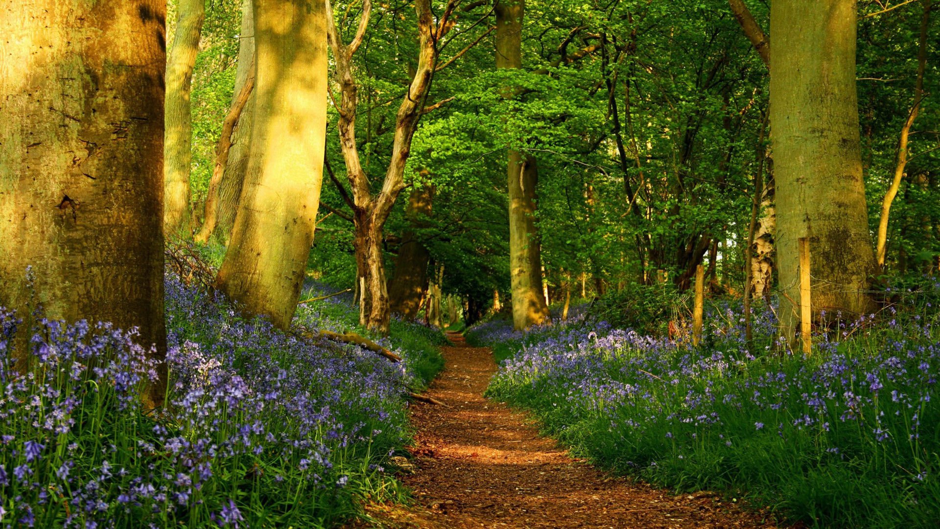 风景,风光,美景,旅游,自然,开阔风景,儿童桌面专用