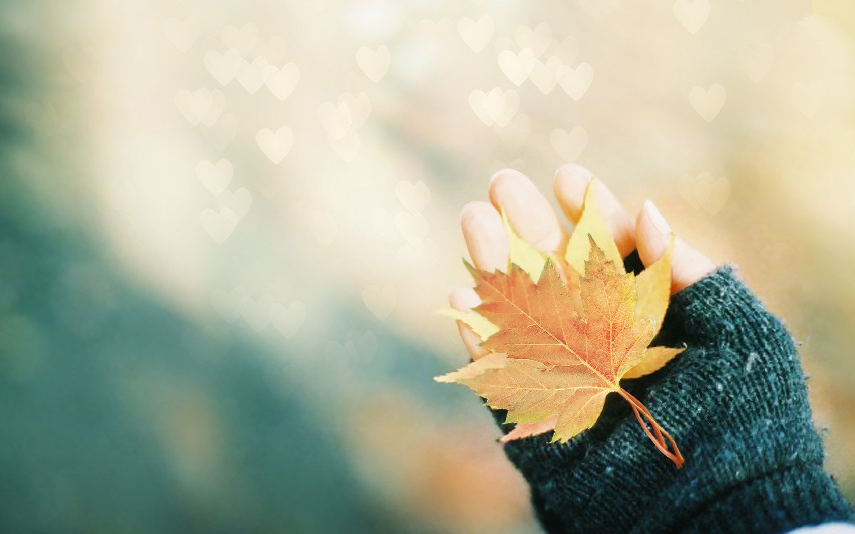 小清新,温馨一刻,1月24日,儿童桌面专用