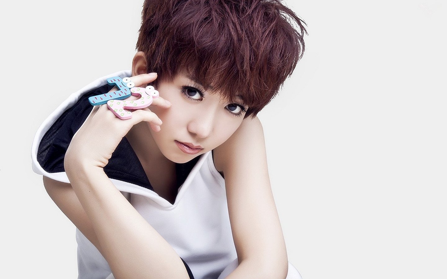 女明星,快女,洪辰,1月15日