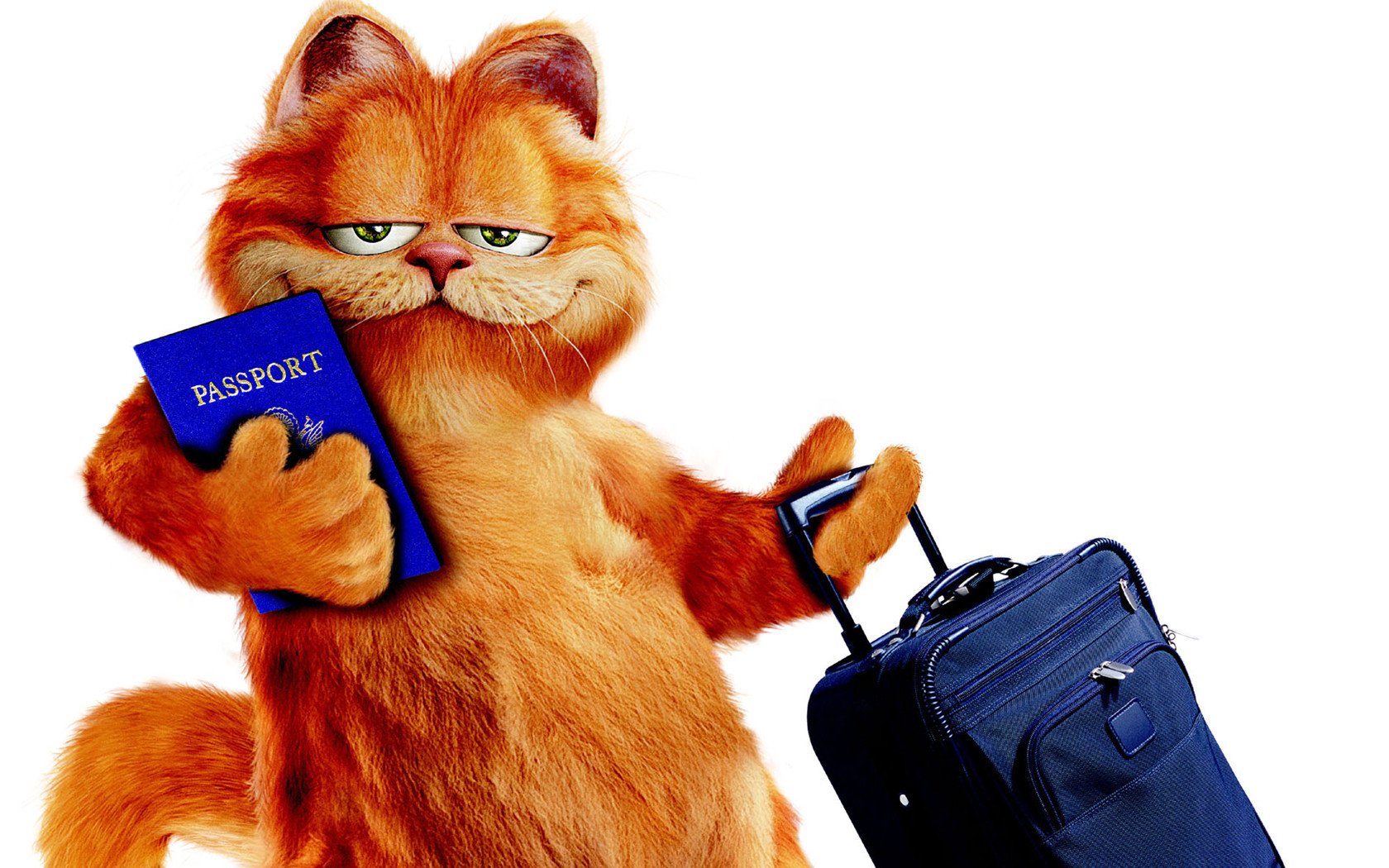 影视,动画电影,加菲猫,1月28日