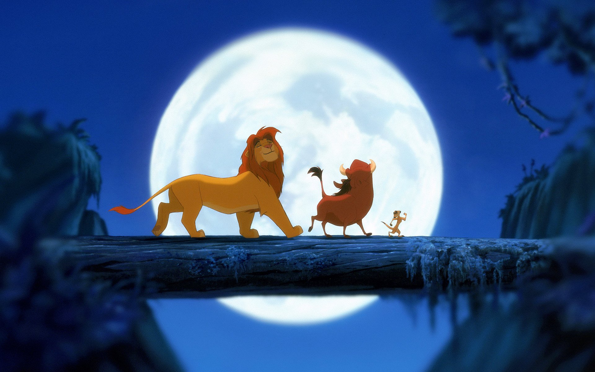 影视,动画电影,狮子王,1月18日