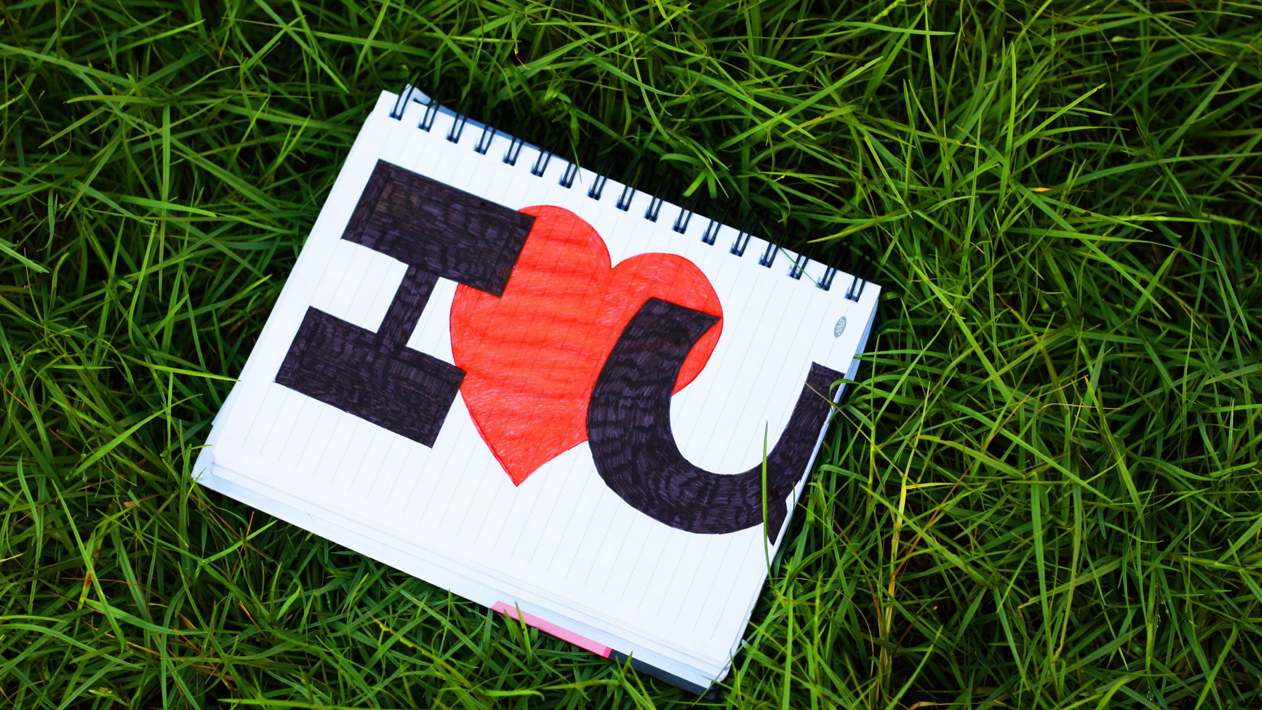 爱情美图,唯美温馨,爱心,草地,我爱你