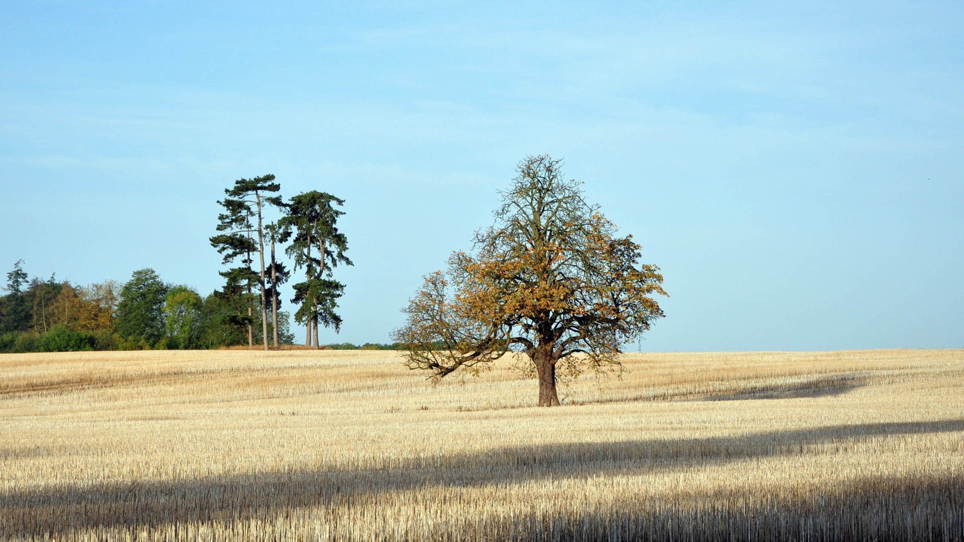 风景,风光,美景,旅游,自然,开阔风景,儿童桌面专用