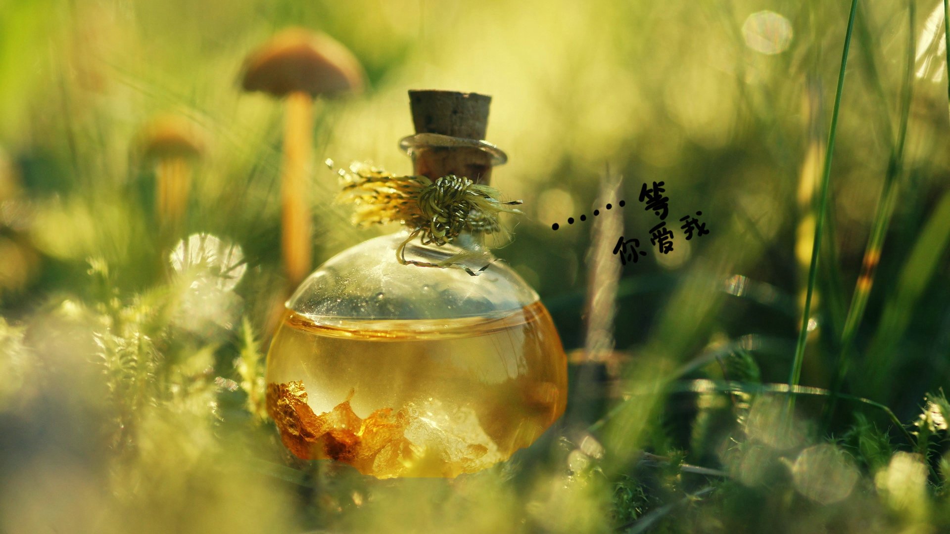 爱情美图,唯美温馨,许愿瓶,等你,爱我