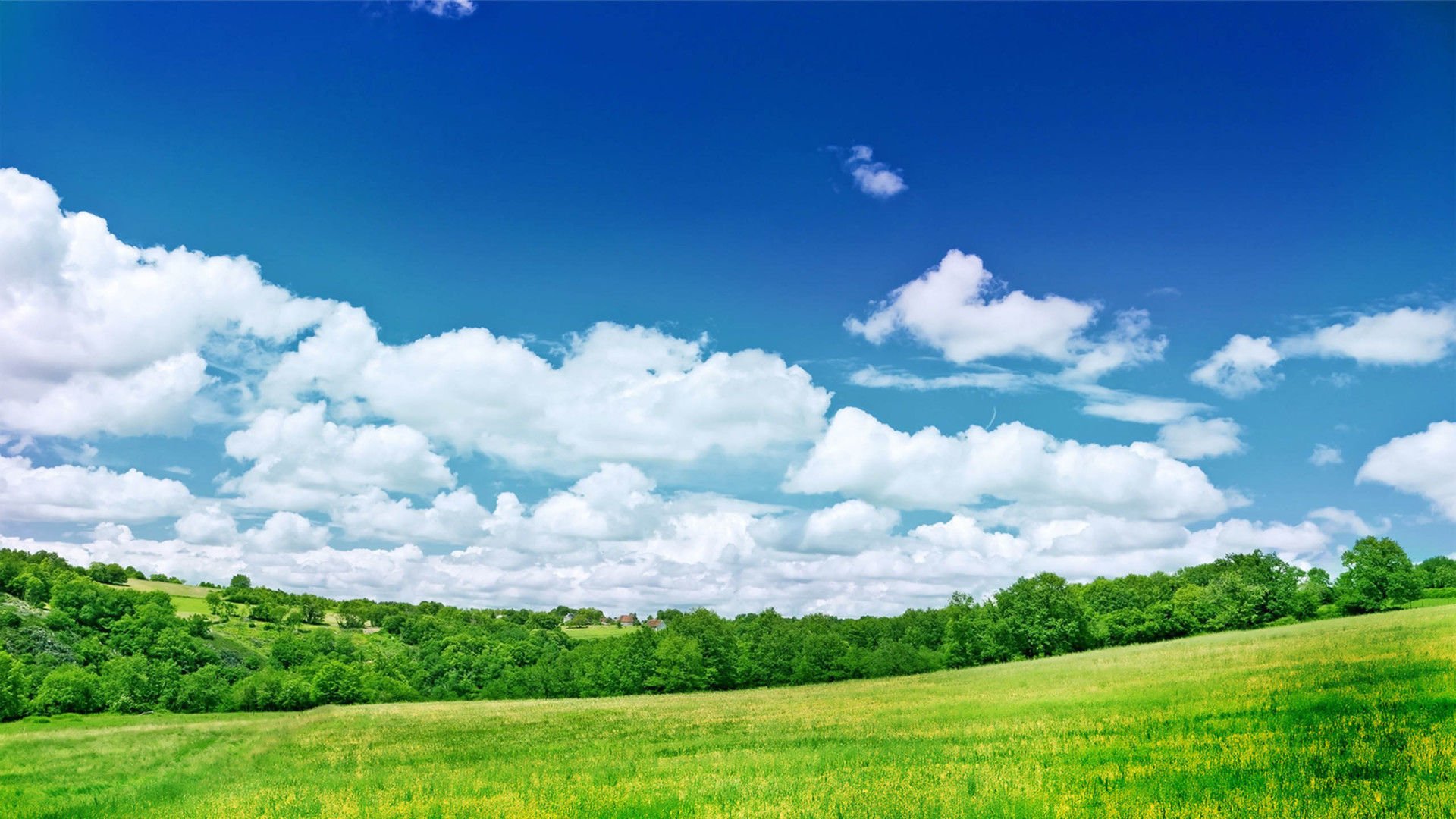 开阔,风景,阳光,大气,风光,碧绿草原,儿童桌面专用
