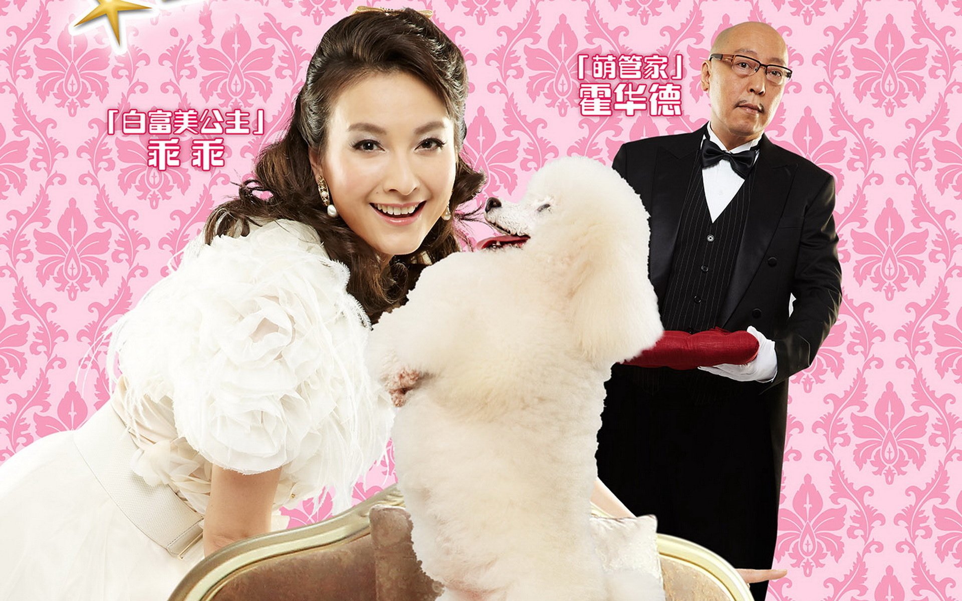 影视,快乐到家,1月25日