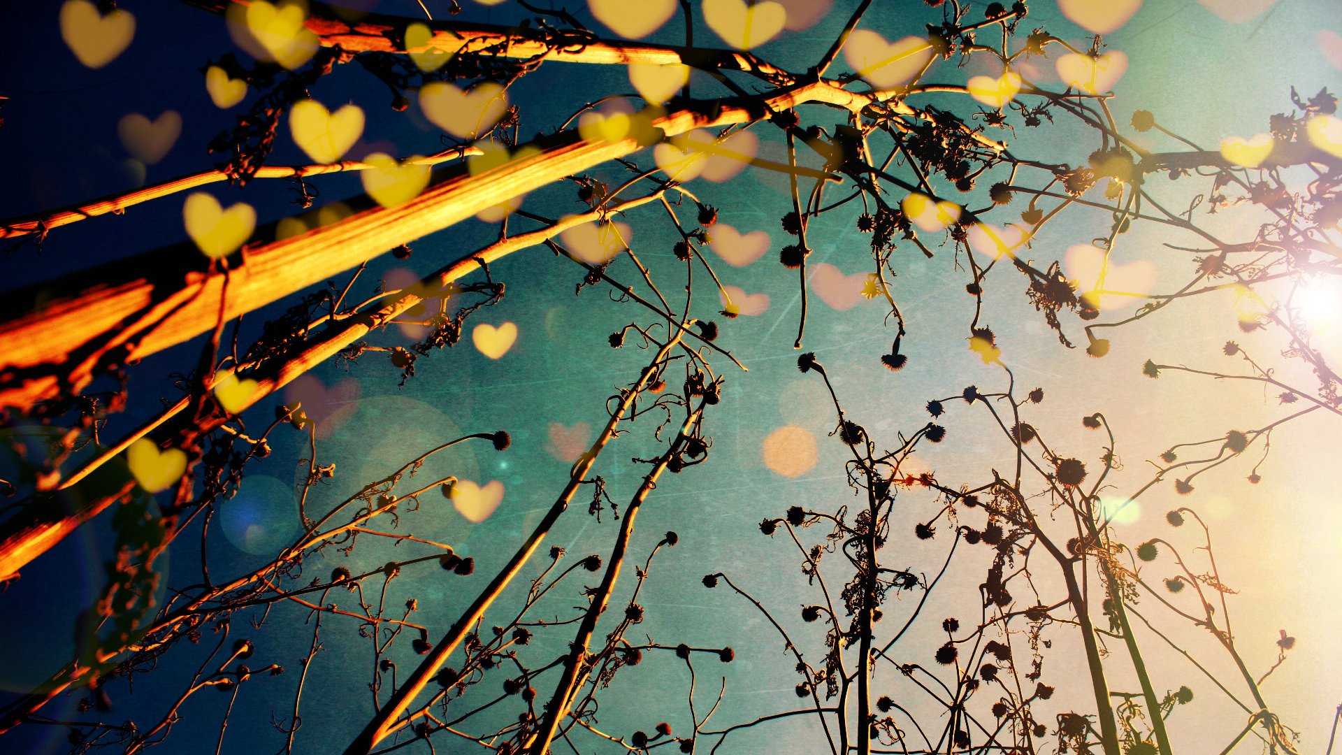 爱情美图,唯美温馨,秋天,浪漫,幸福