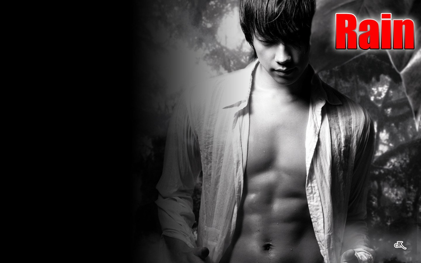 日韩,男明星,Rain,郑智薰,一月十一日