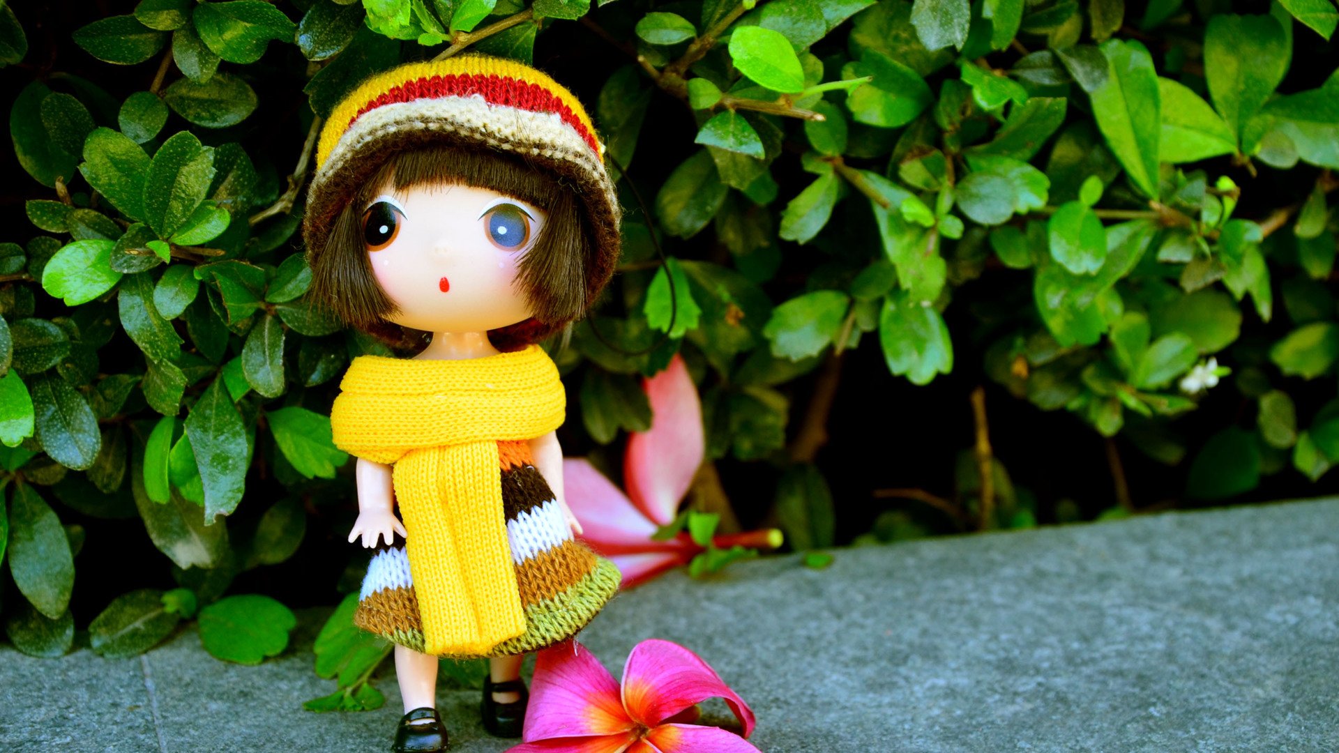 小清新,静物写真,迷糊娃娃,一月十一日,儿童桌面专用