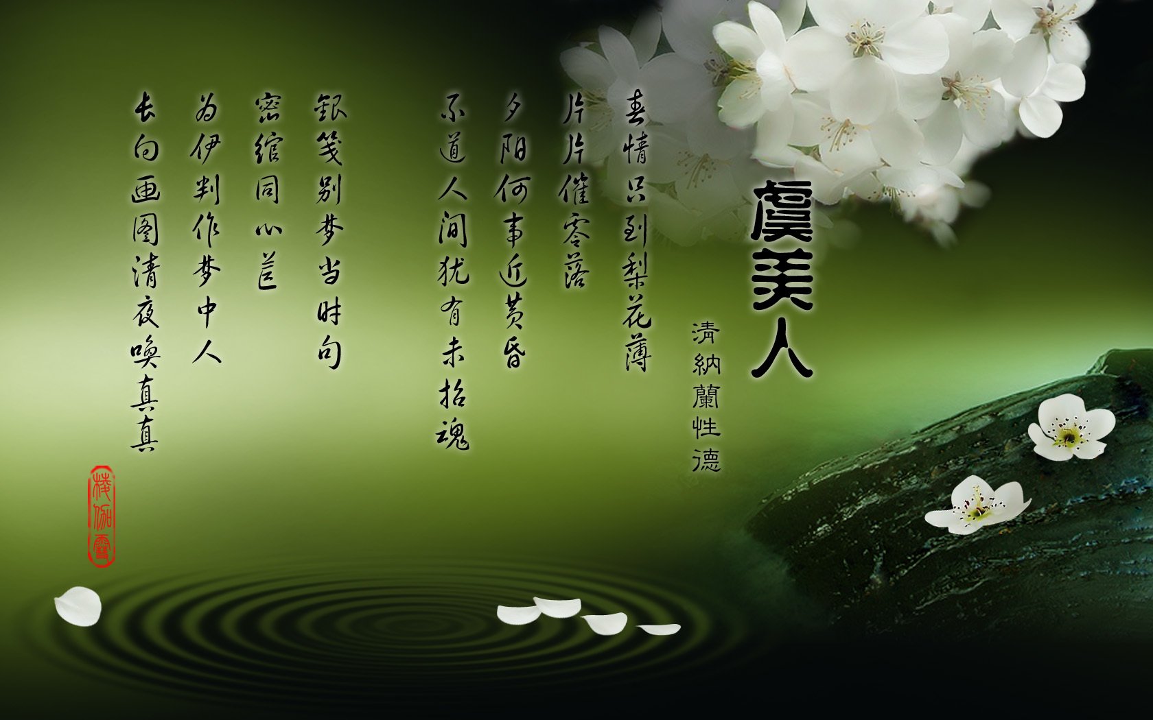 小清新,护眼壁纸,绿色,一月五日