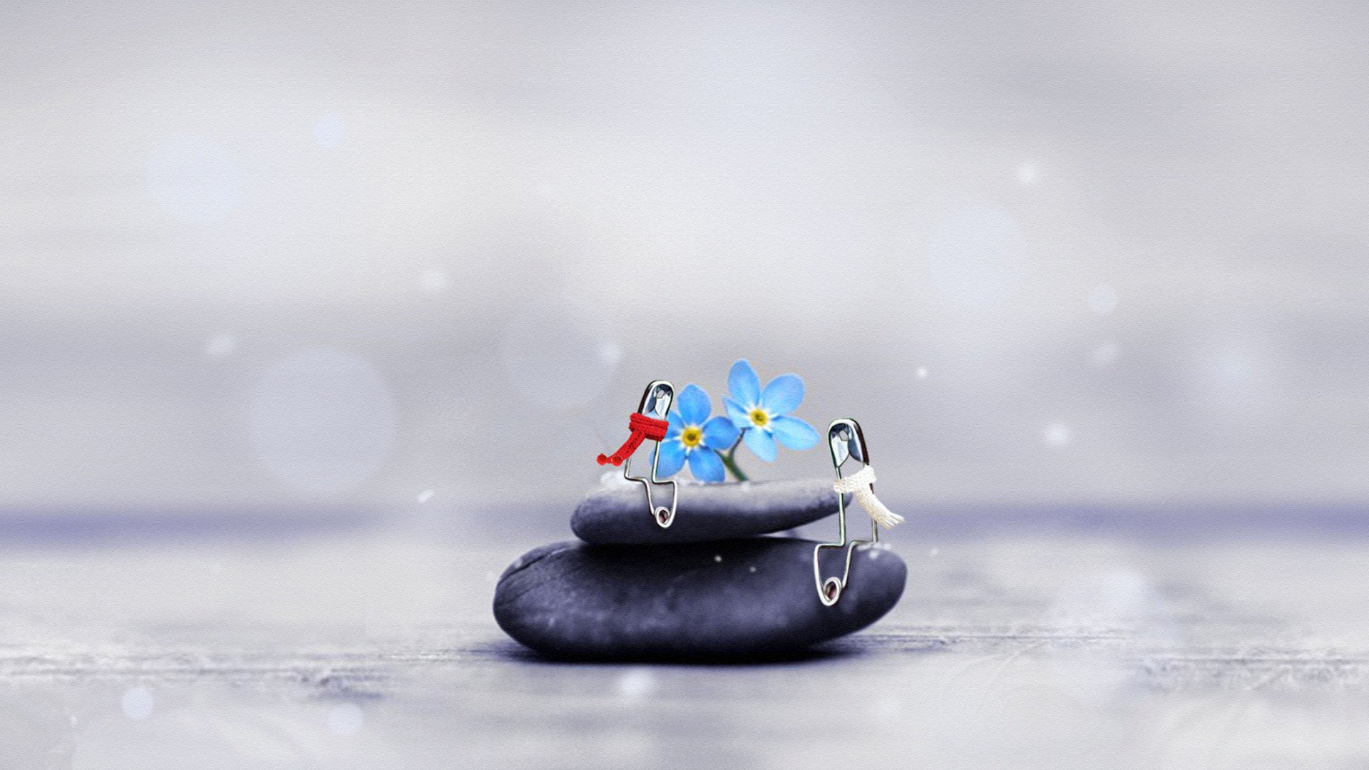 小清新,静物写真,1月21日,儿童桌面专用