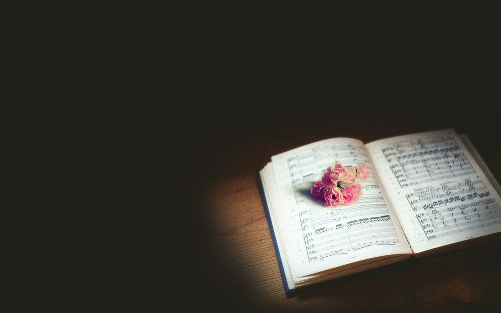 小清新,静物写真,书,一月六日