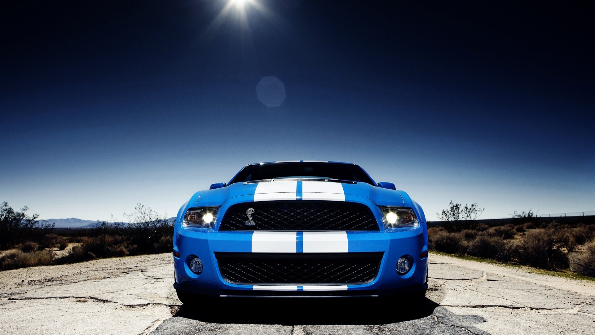 汽车,超跑,福特,野马,儿童桌面专用