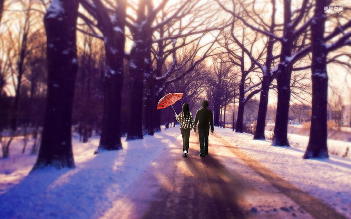 爱情美图,唯美温馨,情人,浪漫,甜蜜