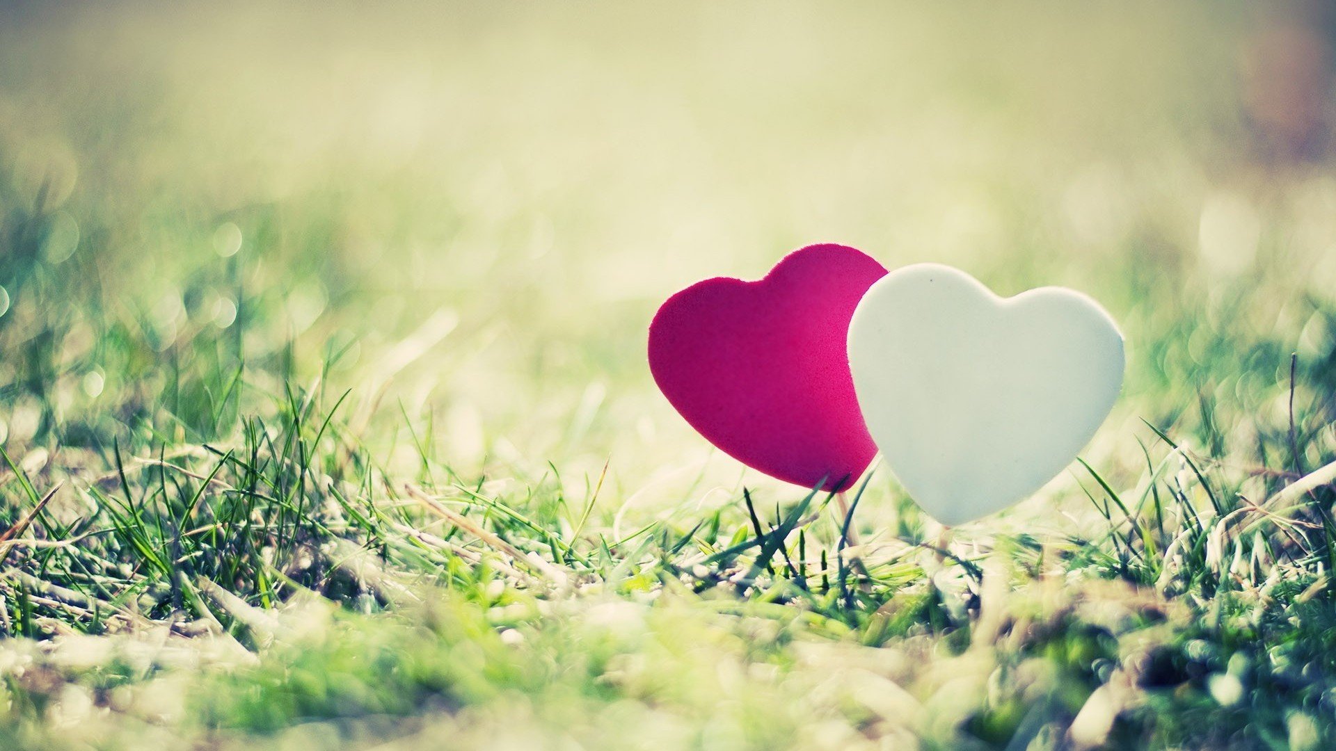 爱情美图,唯美温馨,爱心