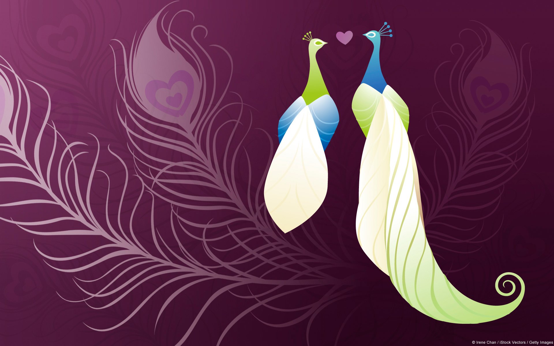 爱情美图,浪漫手绘,孔雀,七夕,爱情鸟