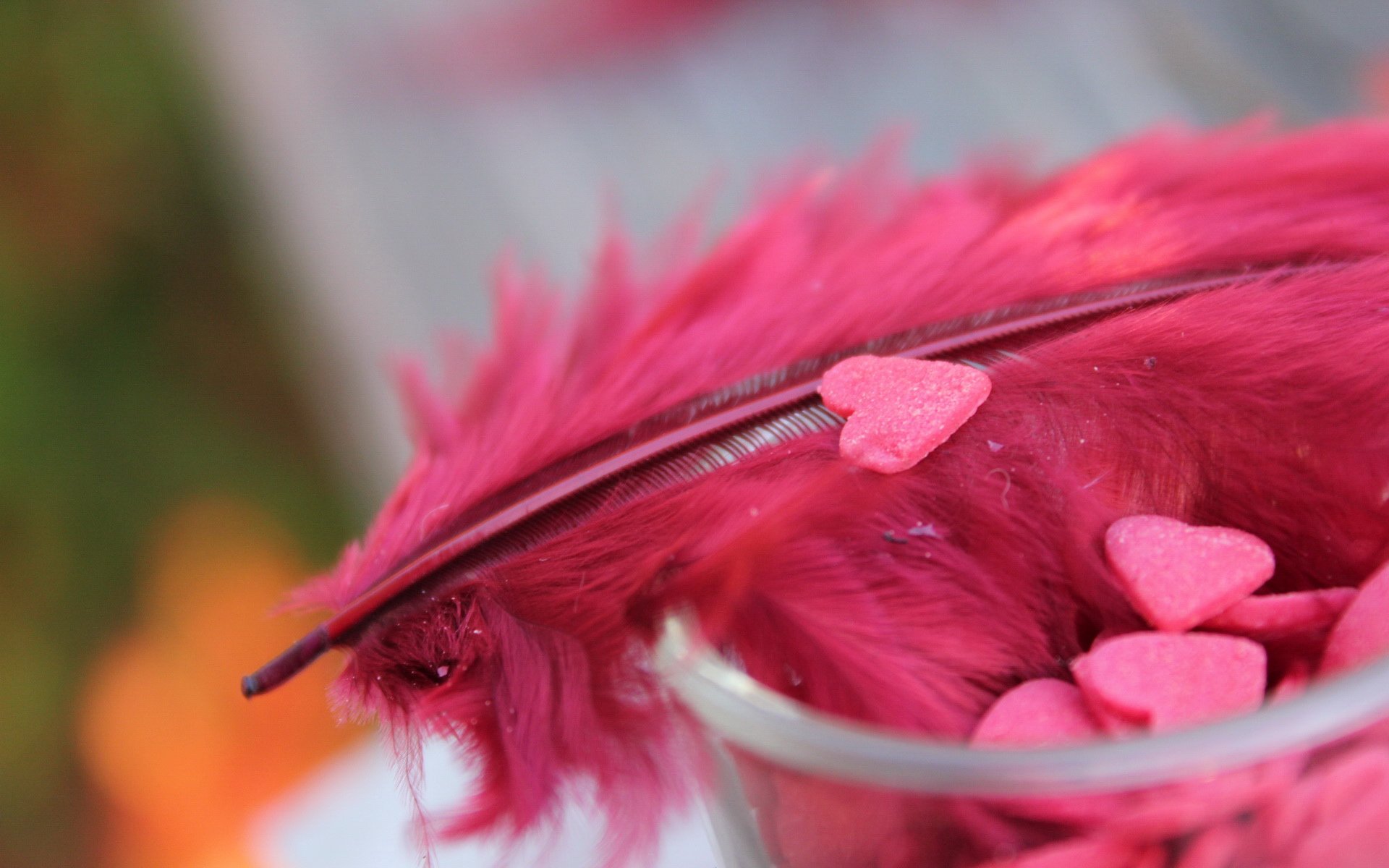 小清新,静物写真,1月15日,儿童桌面专用