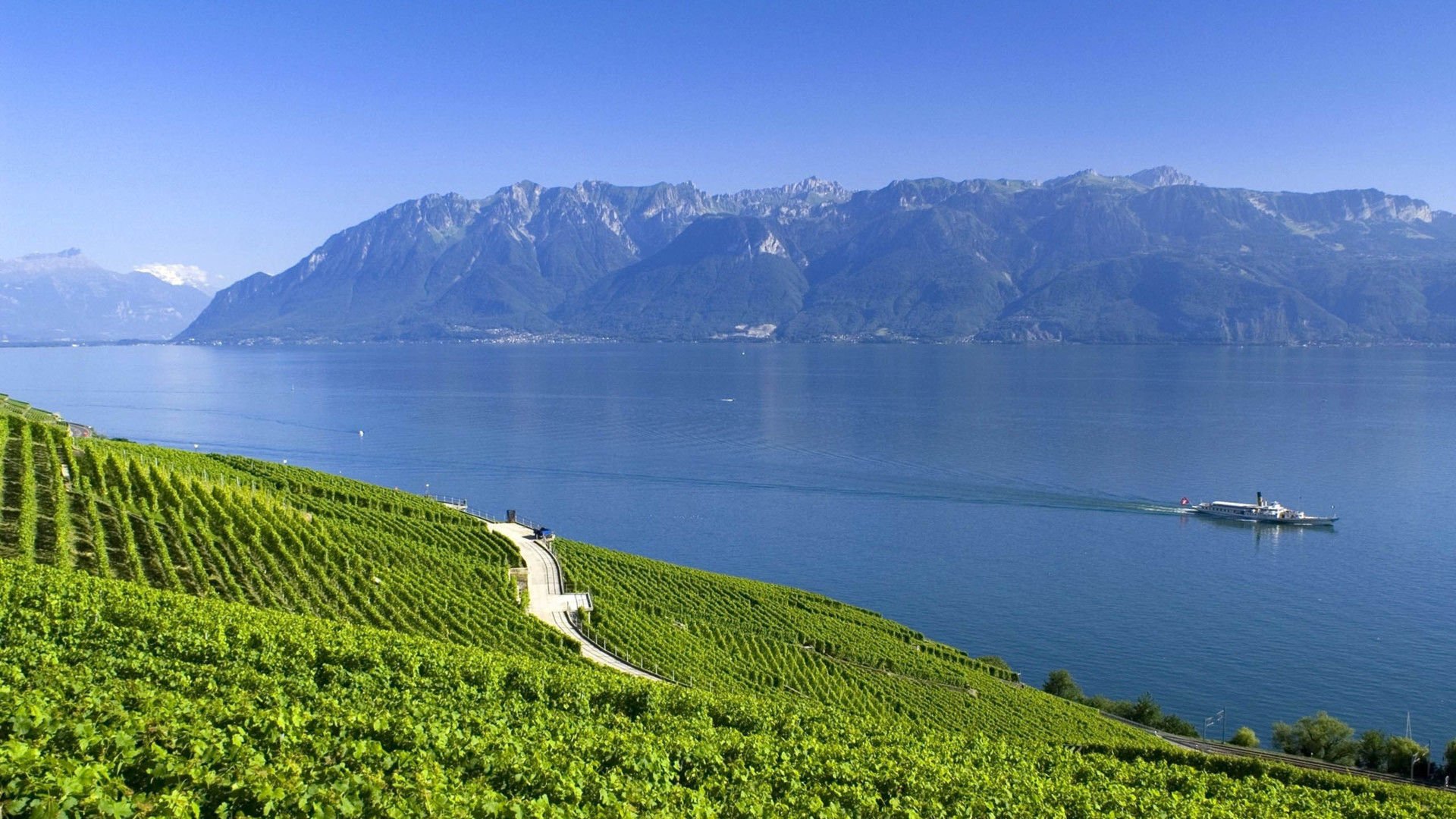 壮阔,风光,美景,旅游,自然,开阔风景,儿童桌面专用