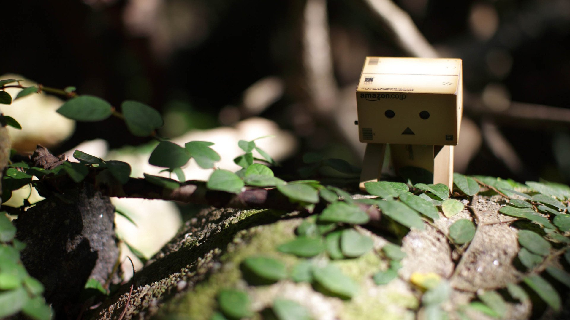 小清新,温馨一刻,纸箱人,1月29日,儿童桌面专用