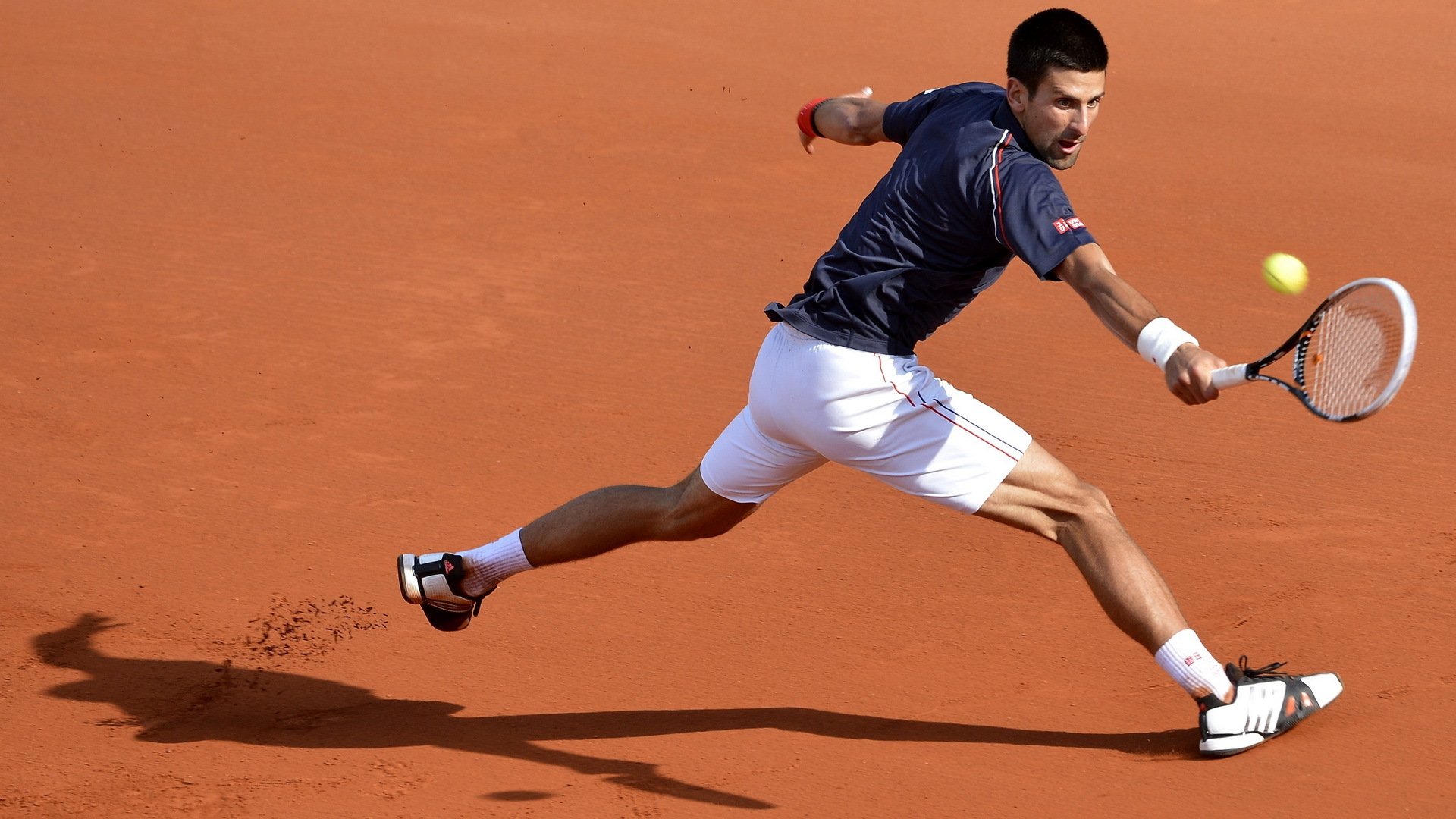 体育,网球,德约科维奇