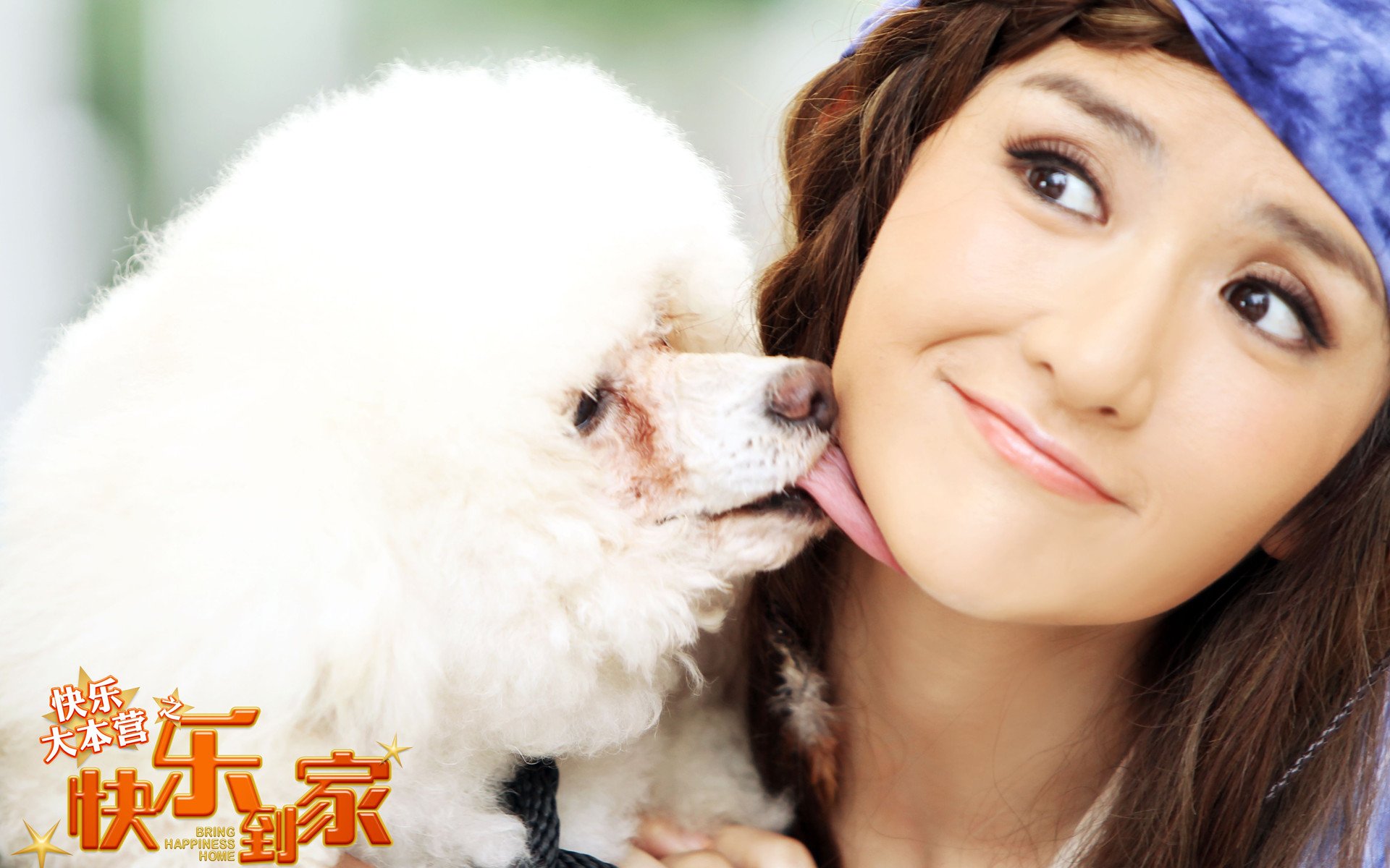 影视,快乐大本营,快乐到家,快乐家族,谢娜