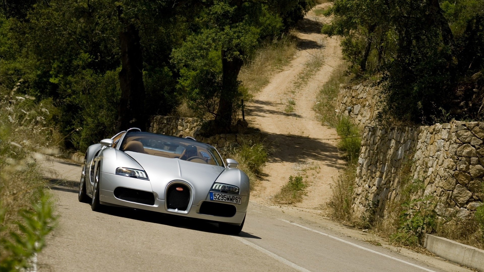 汽车,超跑,布加迪,威龙,威航,儿童桌面专用