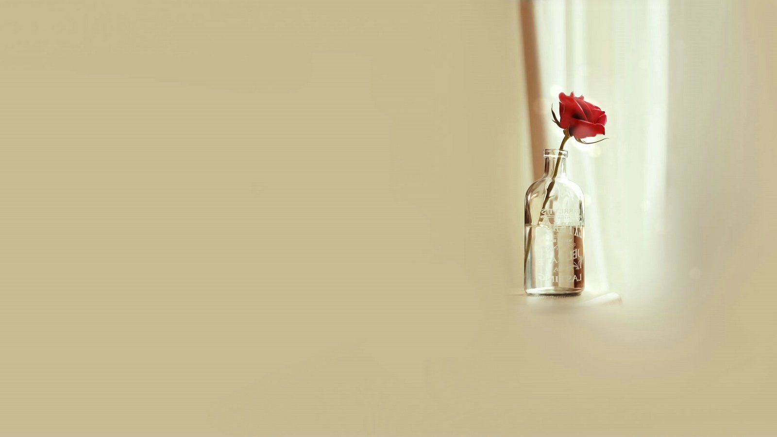 爱情美图,唯美温馨,玫瑰,幸福