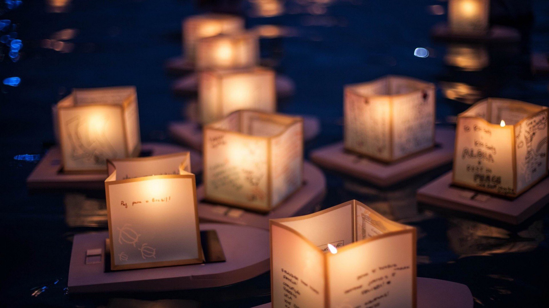 小清新,温馨一刻,1月16日