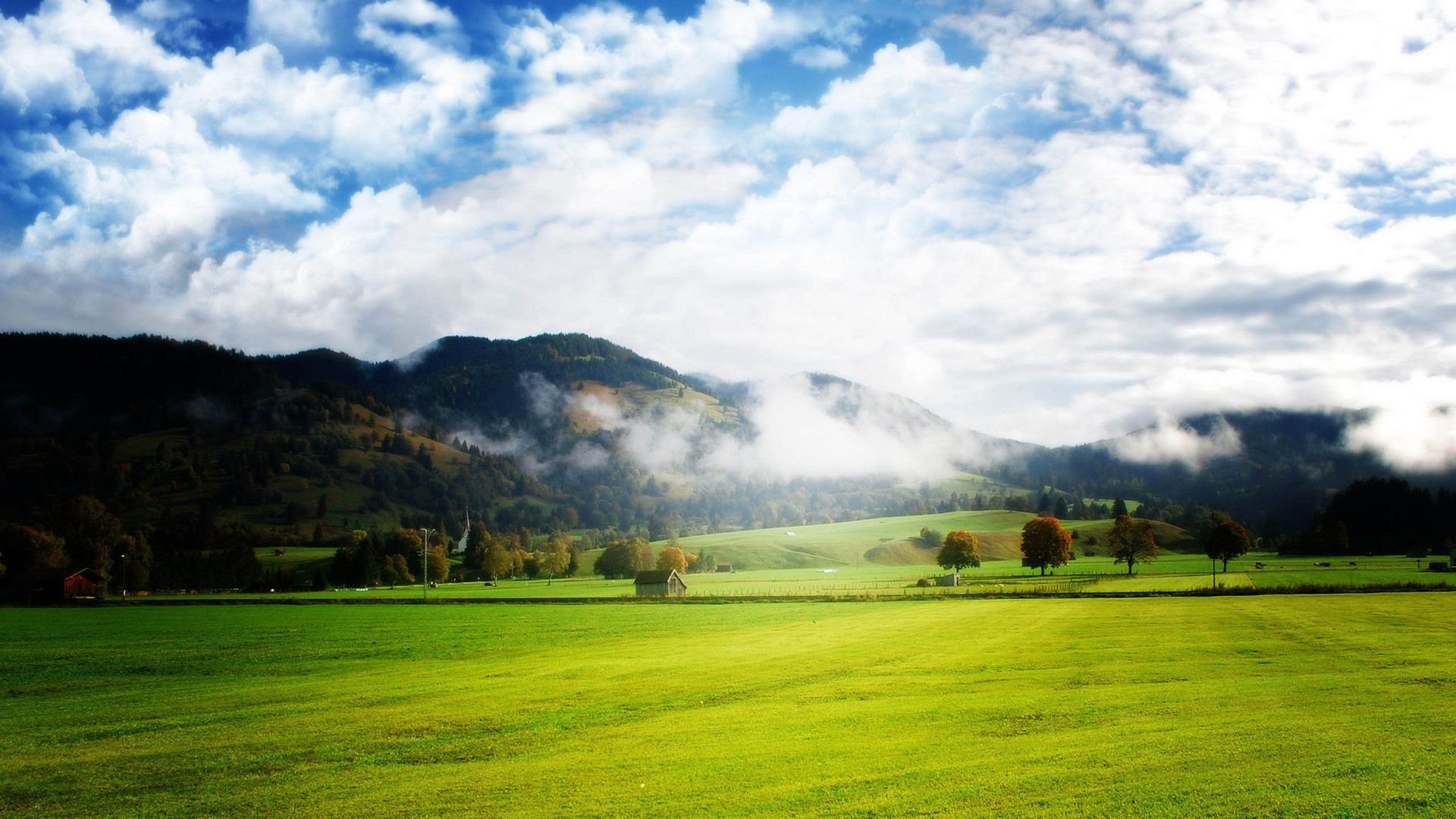 开阔,风景,阳光,大气,风光,碧绿草原,儿童桌面专用