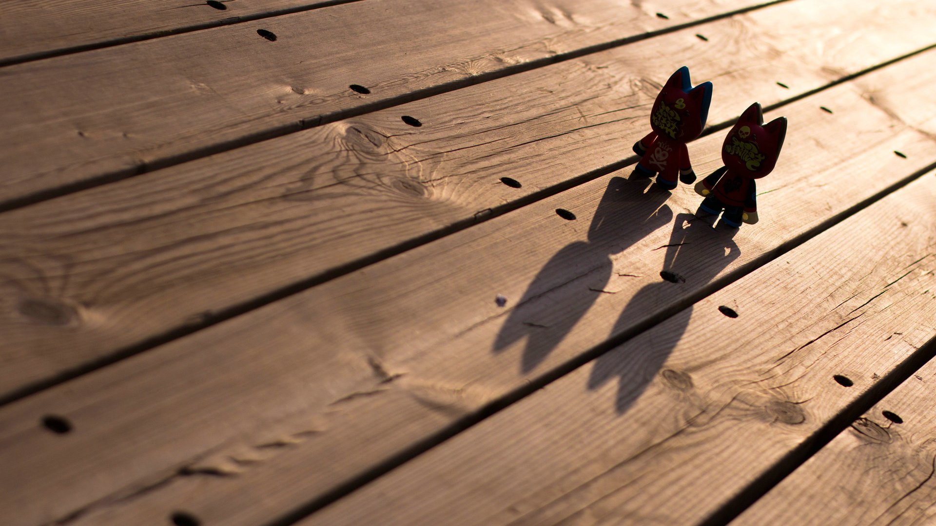 爱情美图,唯美温馨,猫无双