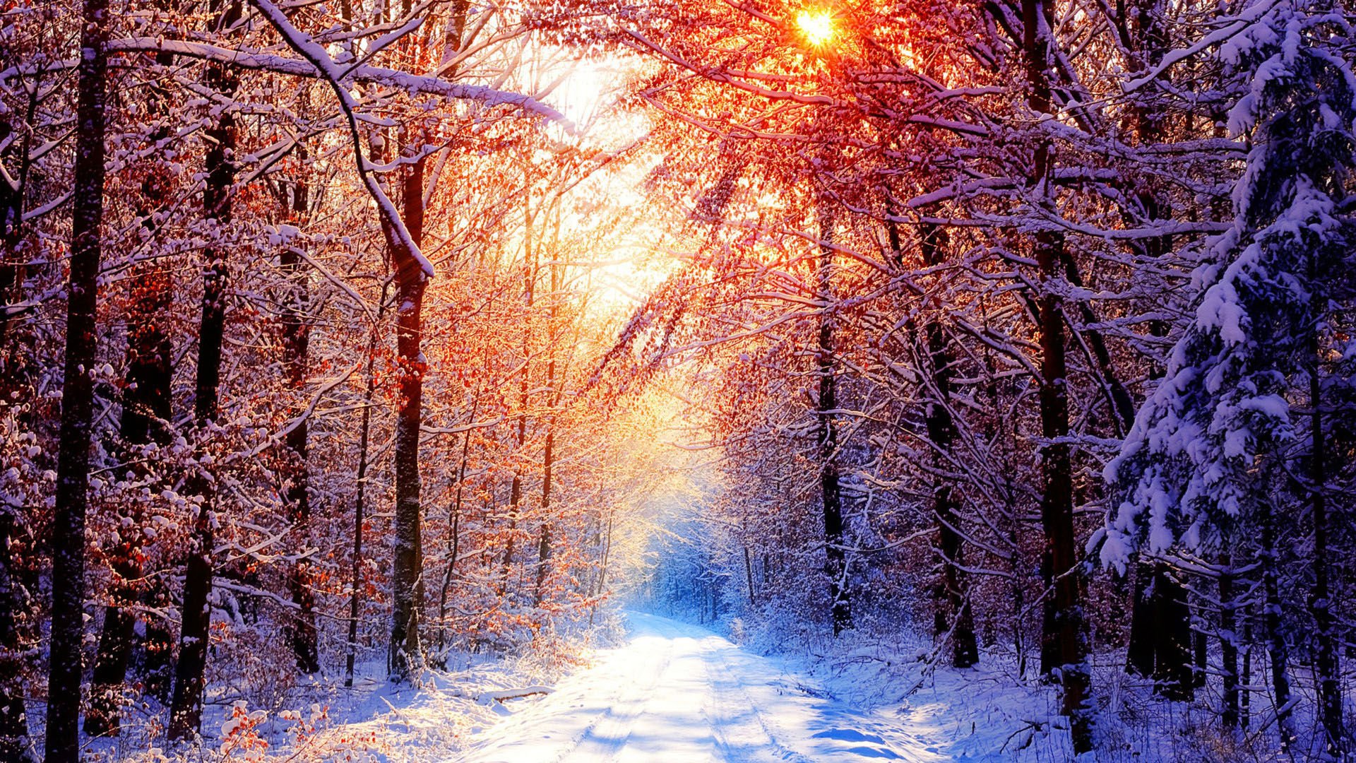 开阔,风景,阳光,大气,旅游,风光,冰天雪地,儿童桌面专用