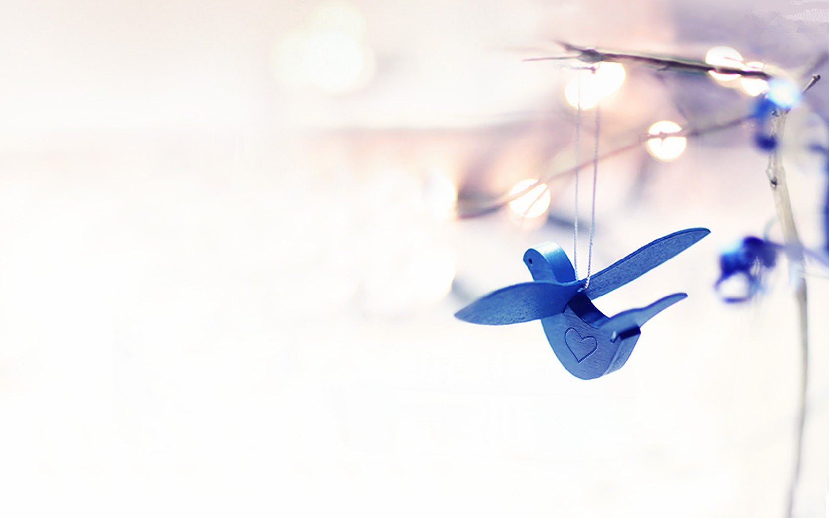 小清新,静物写真,1月24日,儿童桌面专用