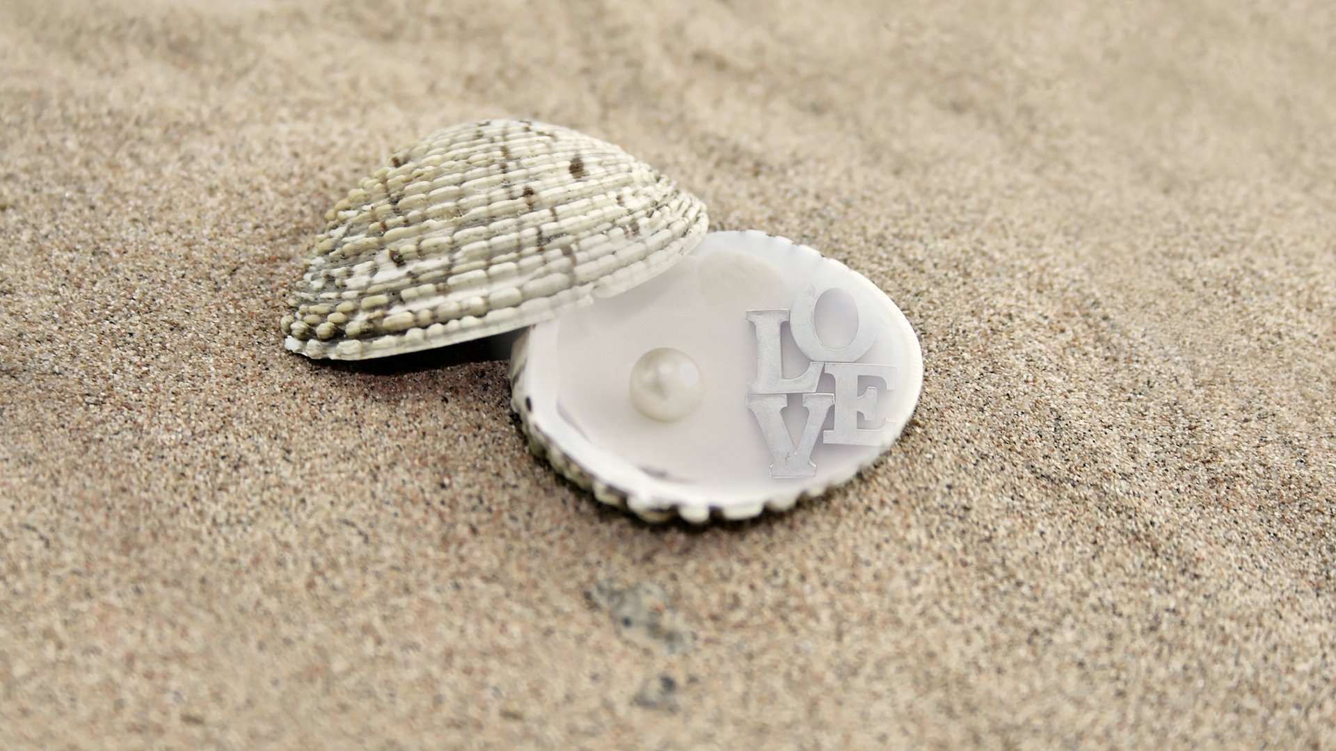 爱情美图,唯美温馨,沙滩,贝壳,珍珠,爱你,love