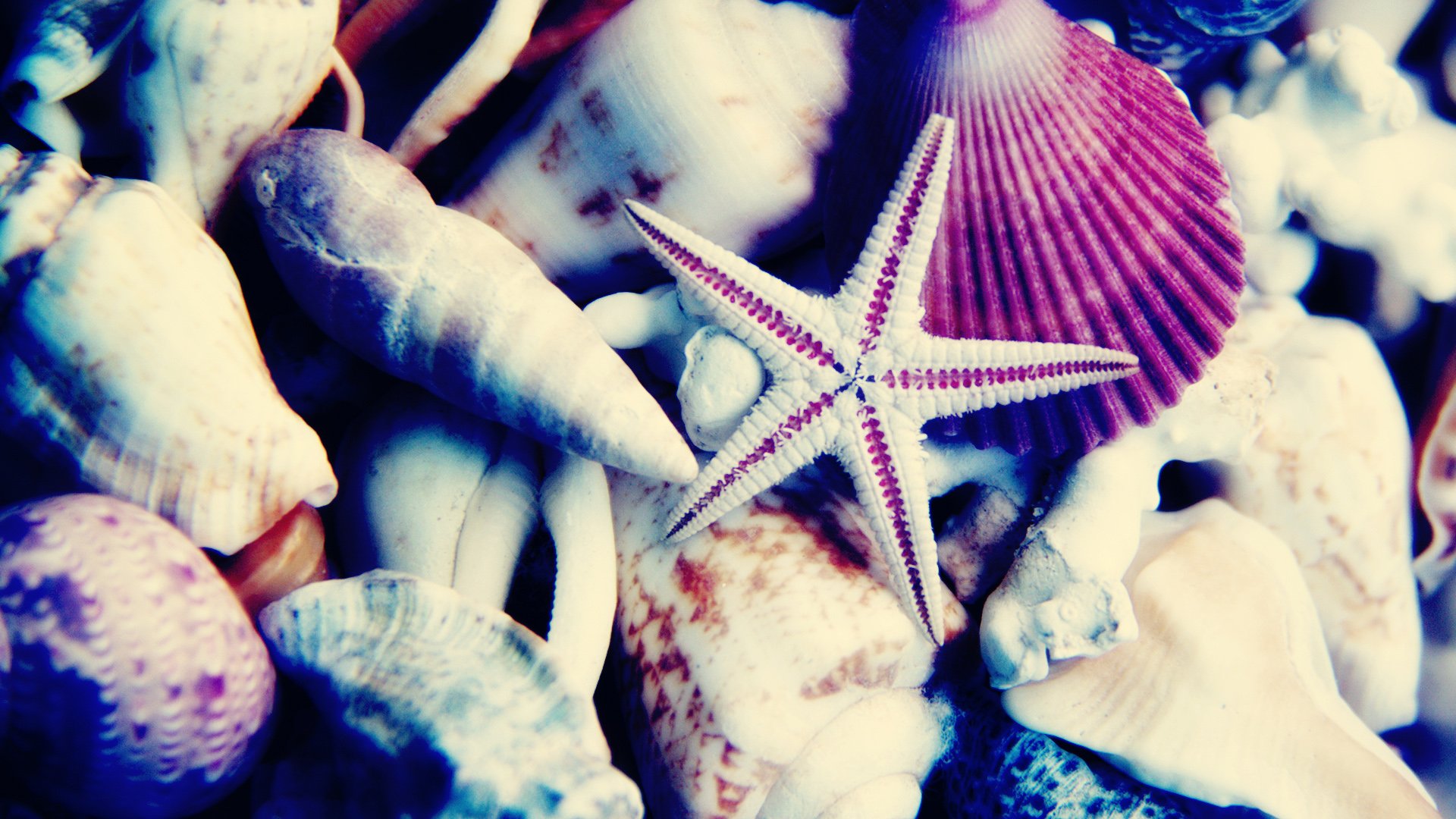 小清新,静物写真,石头,一月九日,儿童桌面专用