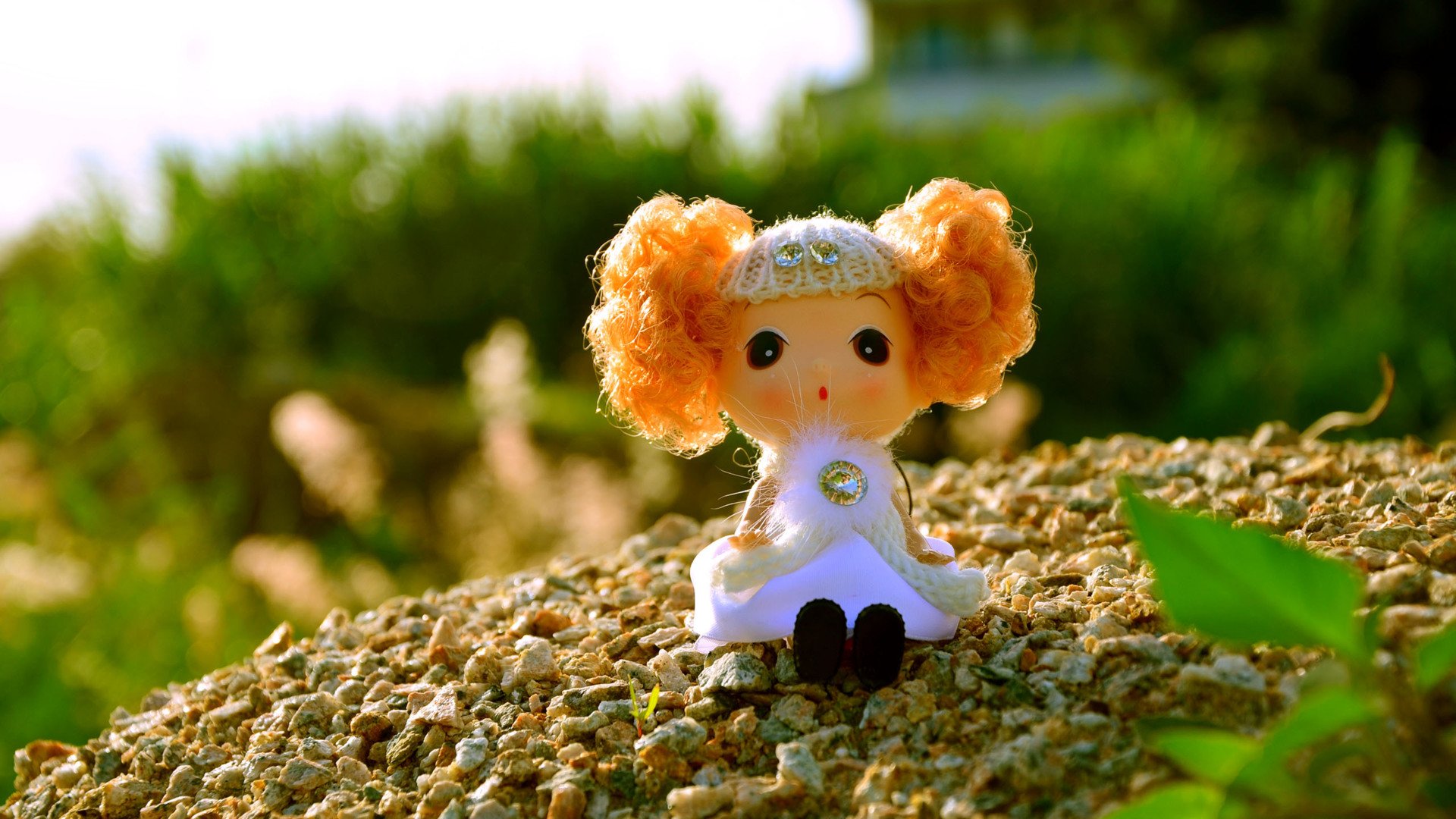 小清新,静物写真,迷糊娃娃,一月十一日,儿童桌面专用