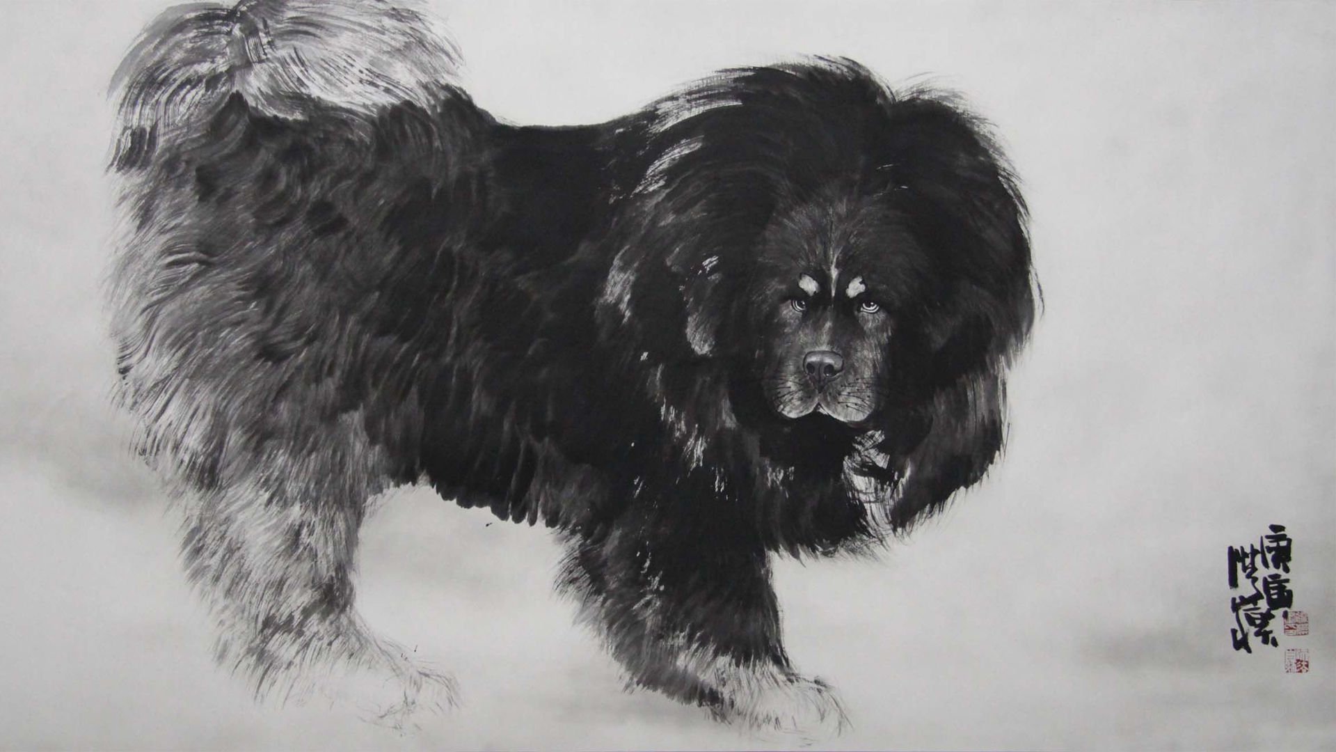 萌宠,汪星人,藏獒,儿童桌面专用