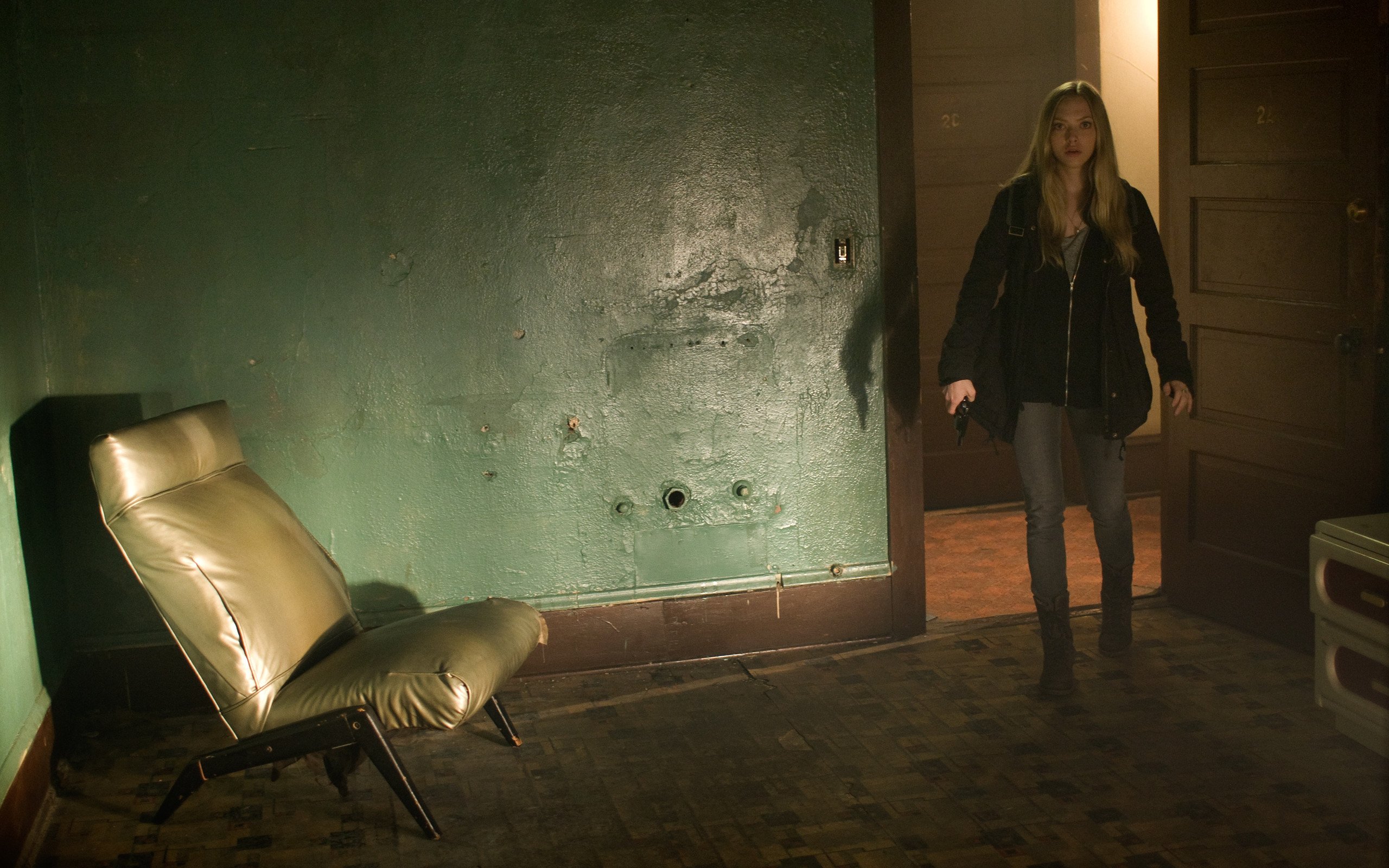 影视,夺命追踪,阿曼达塞弗里德,1月21日