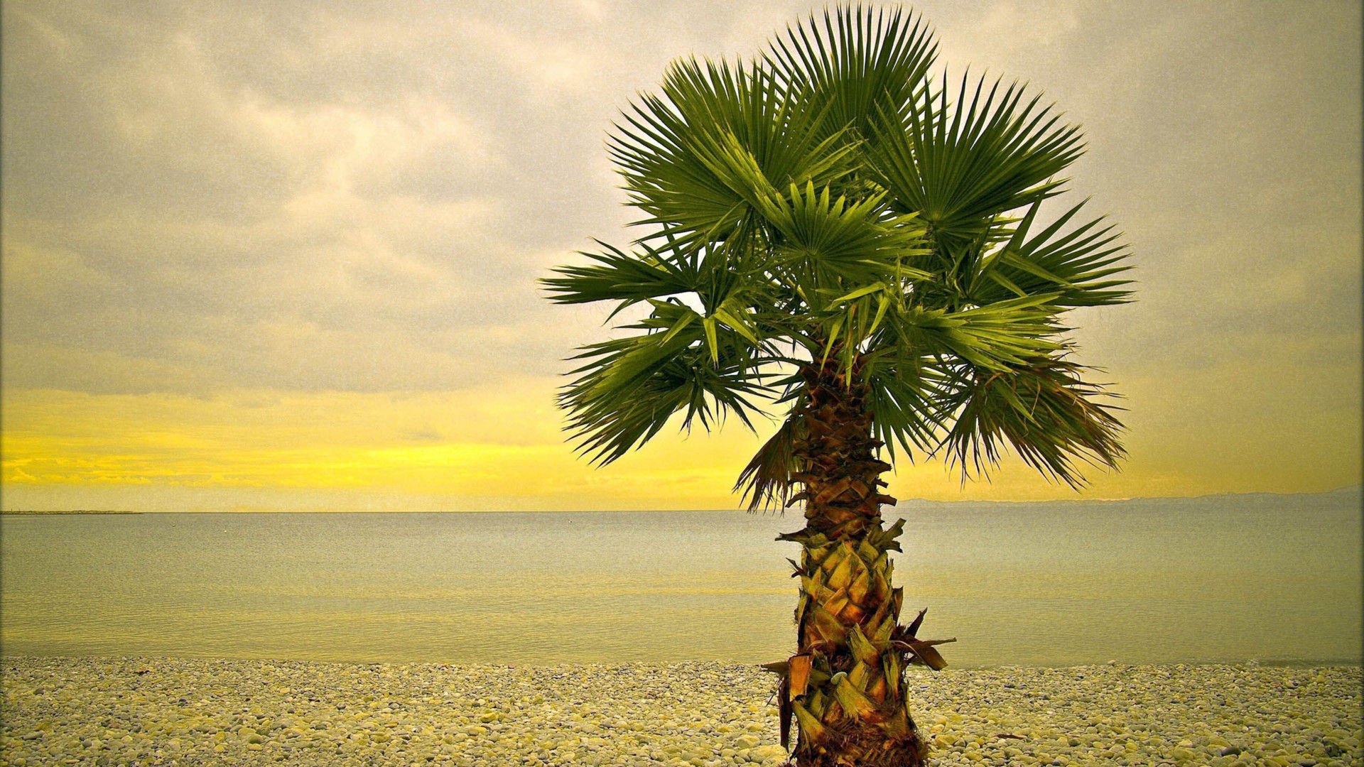 壮阔,风光,美景,旅游,自然,开阔风景,儿童桌面专用