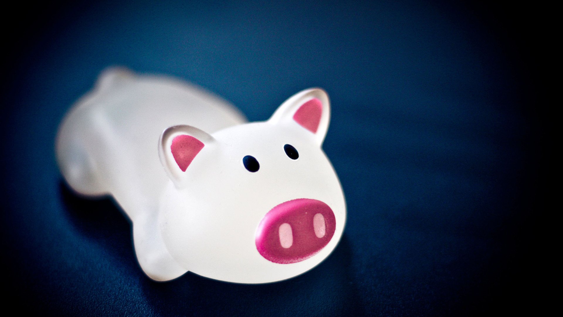 小清新,静物写真,玩偶,小猪,1月18日,儿童桌面专用